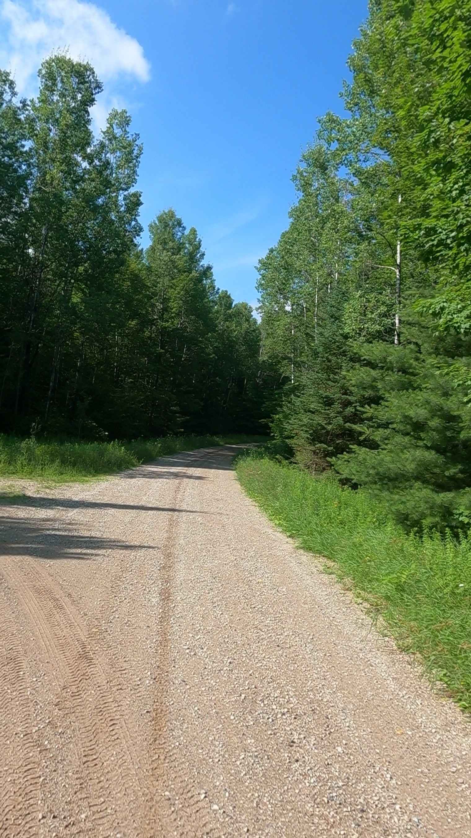 Ensign Road - FSR 2235