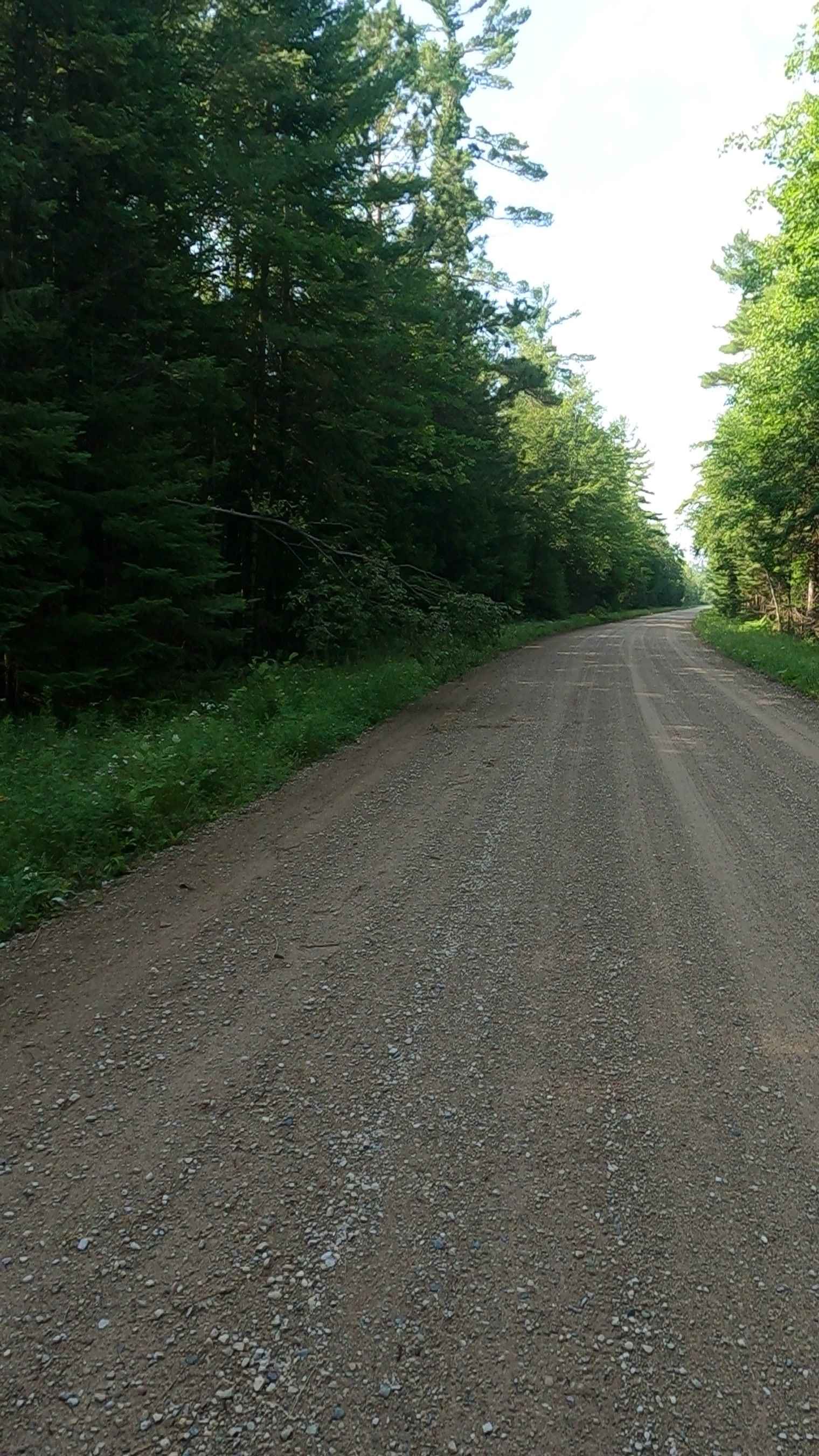 Mormon Creek Road - FSR 2231