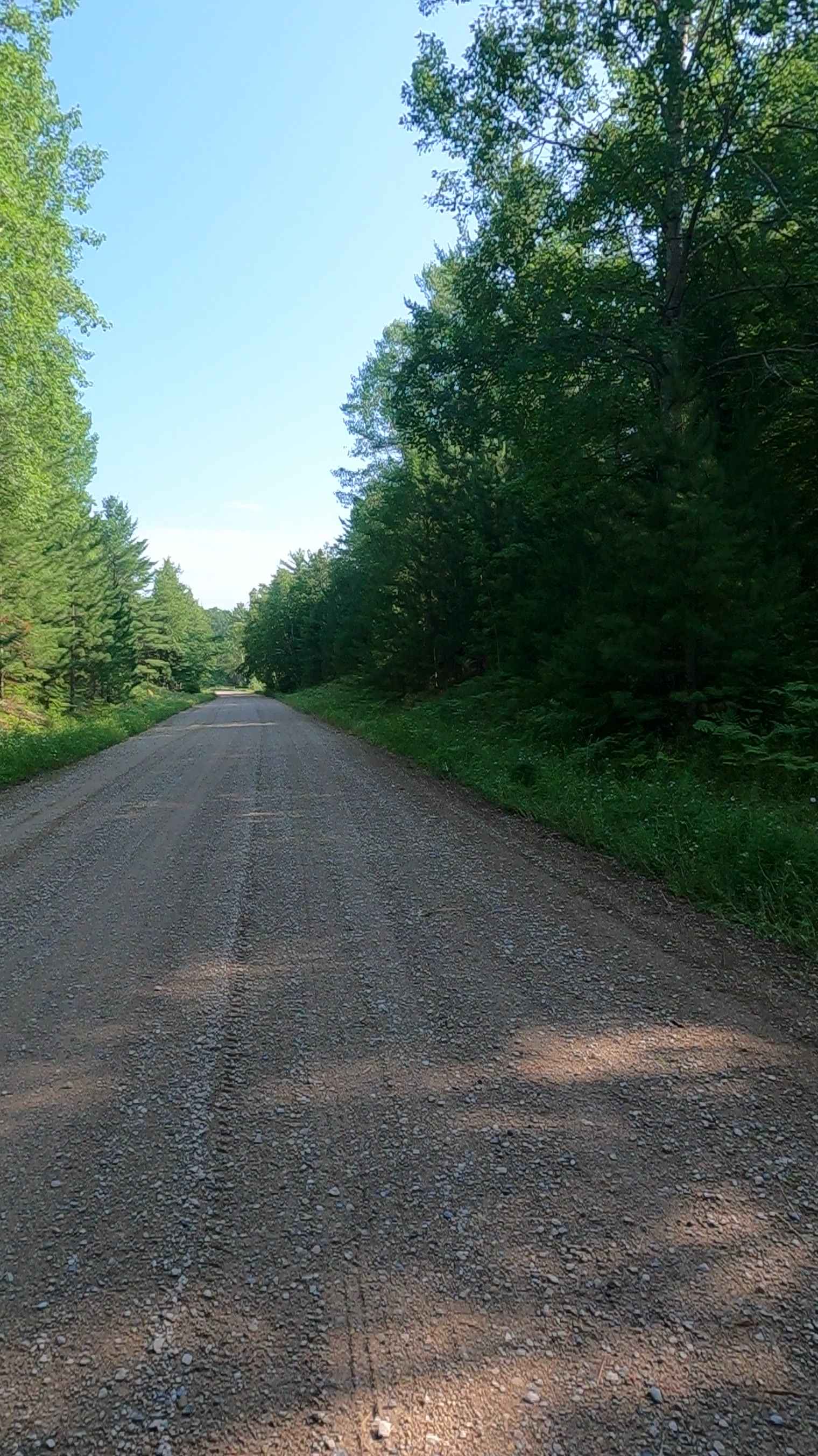 Mormon Creek Road - FSR 2231