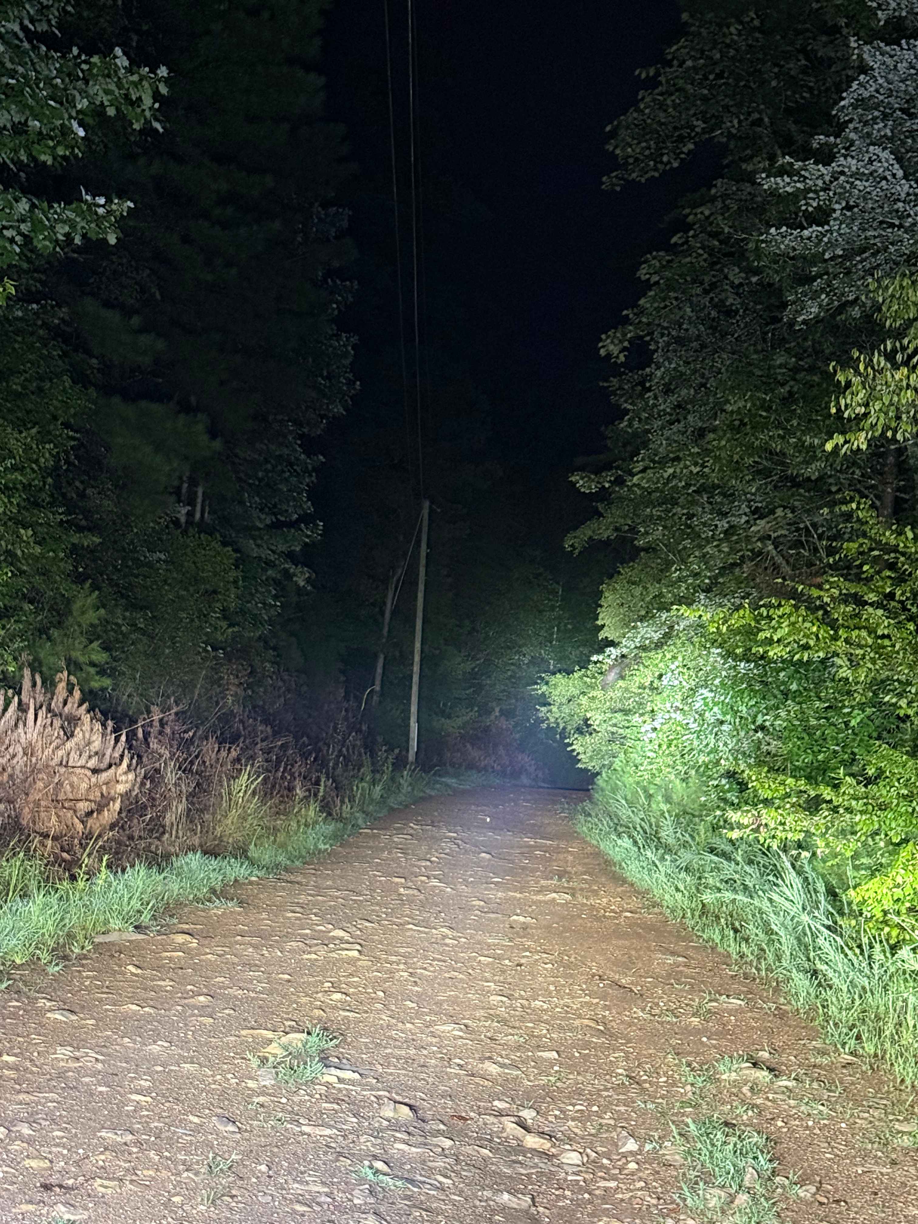 Treat Mountain / County Road 202