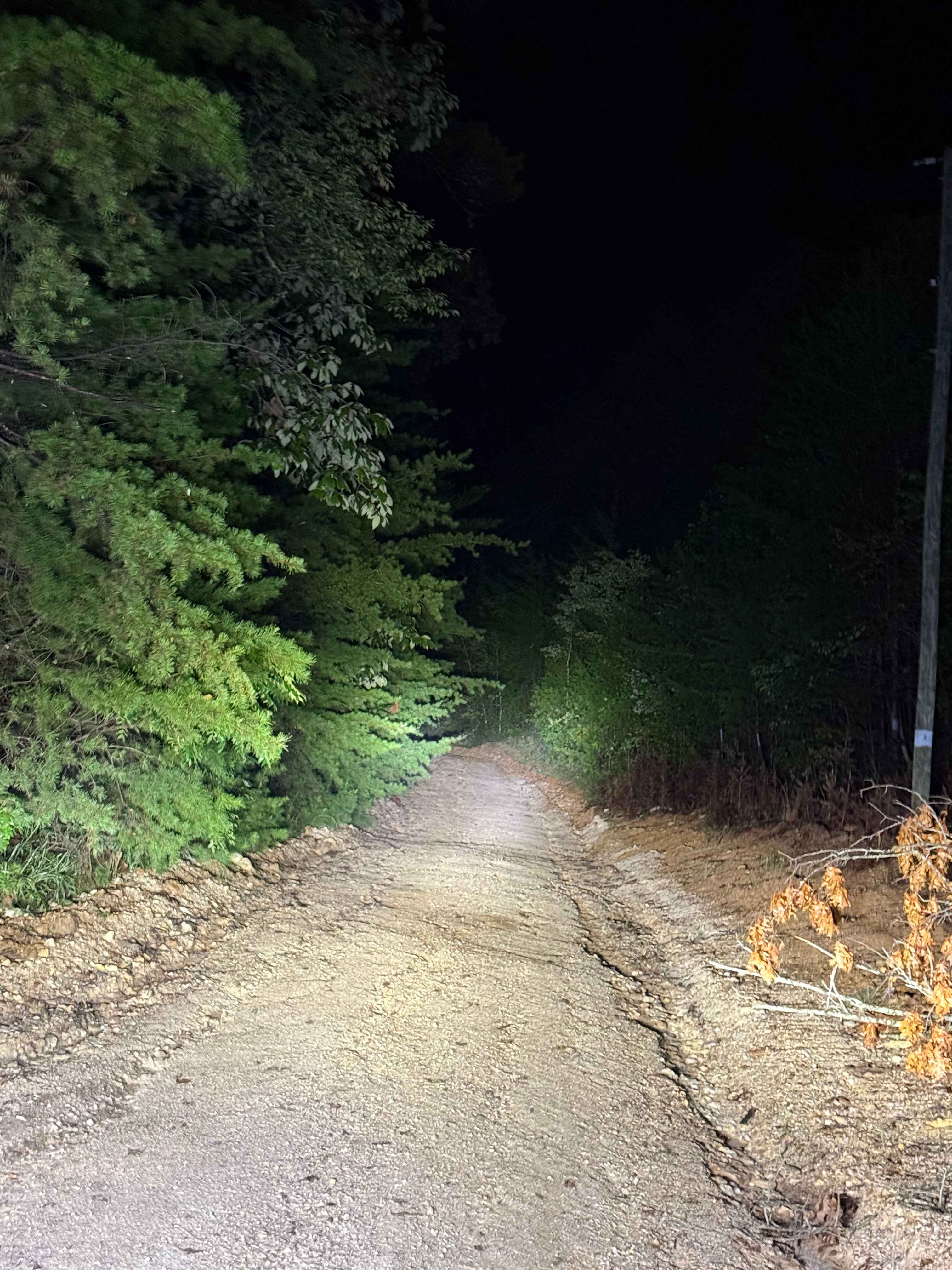 Treat Mountain / County Road 202