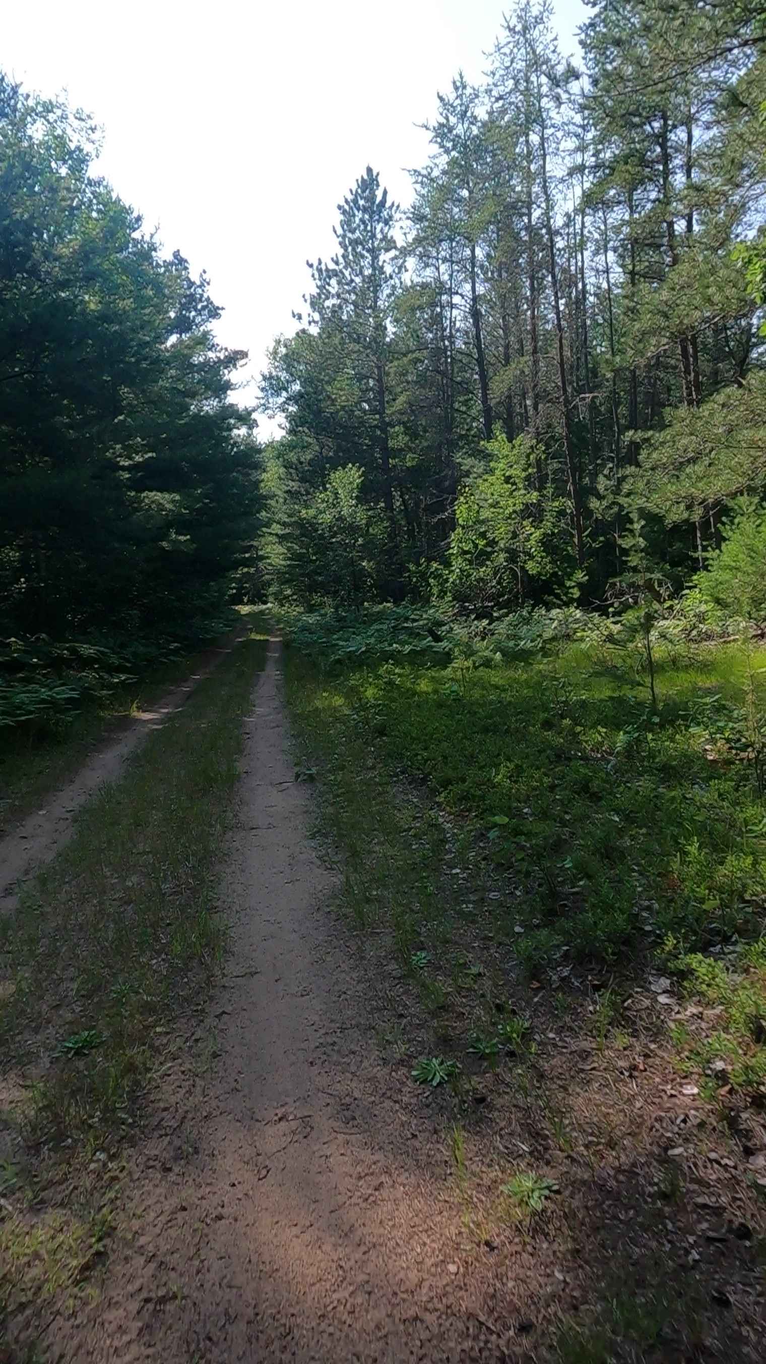 Bills Creek West - FSR 2814