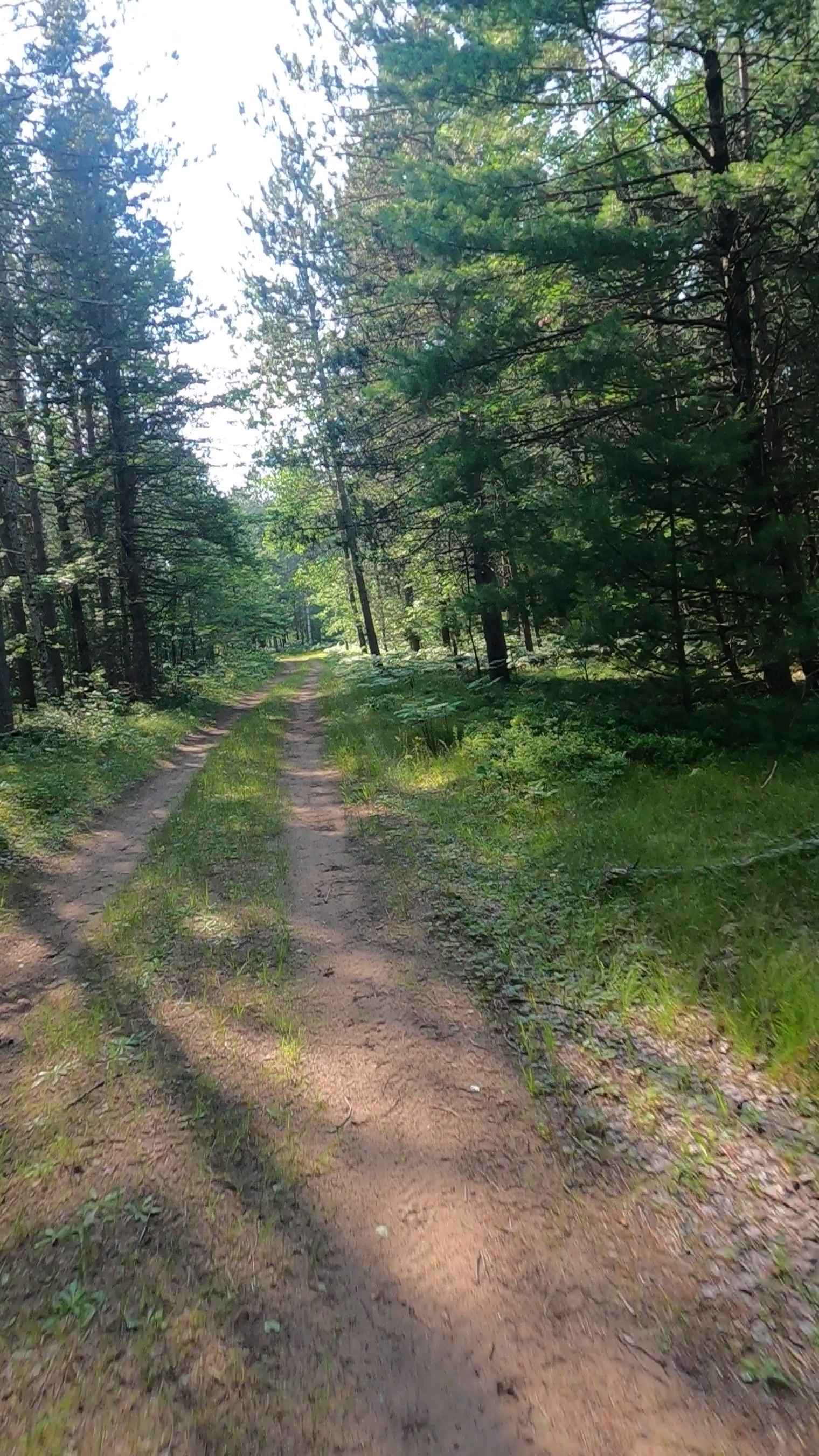 Bills Creek West - FSR 2814