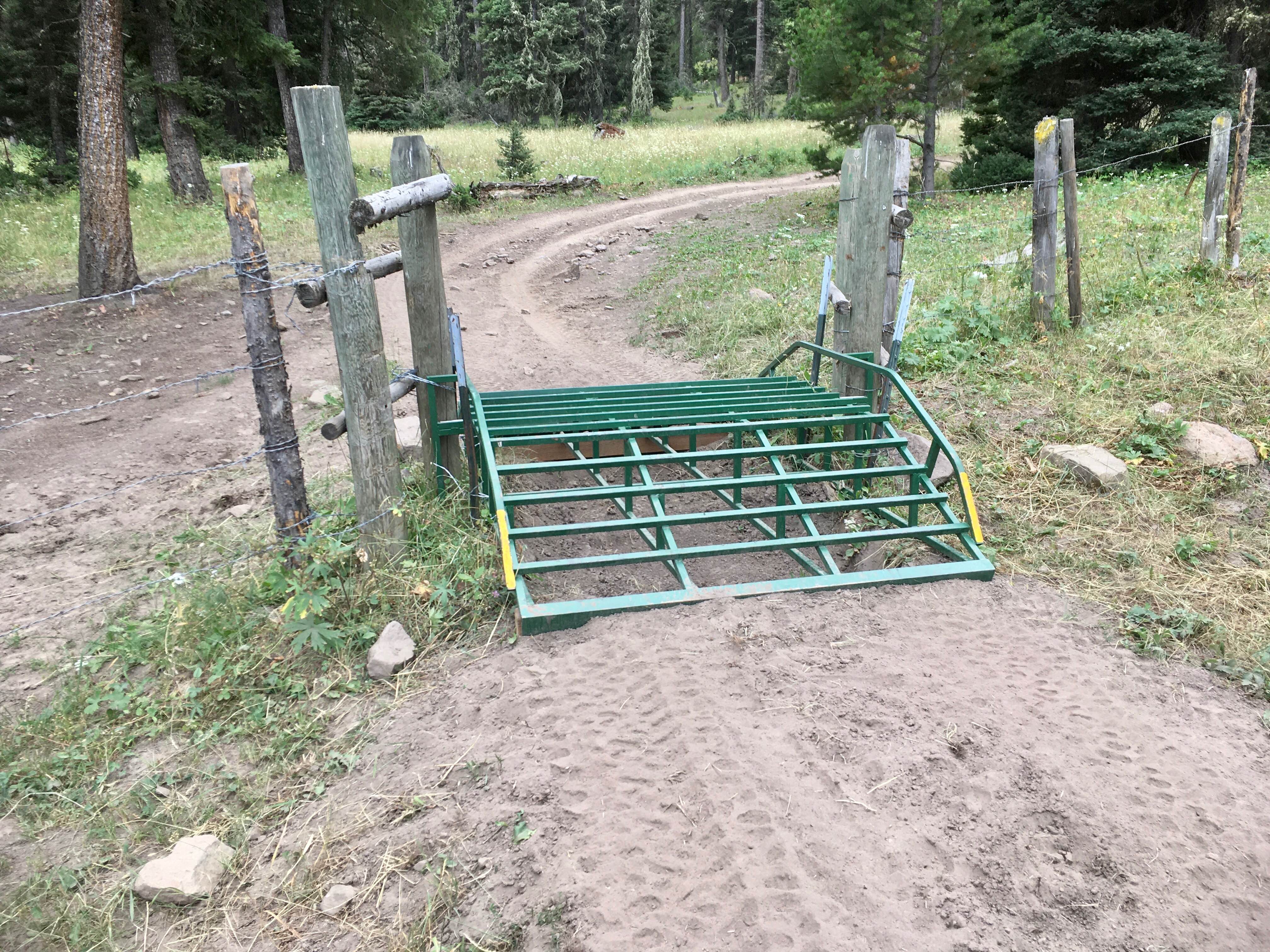 Lone Pine Pass ATV Trail