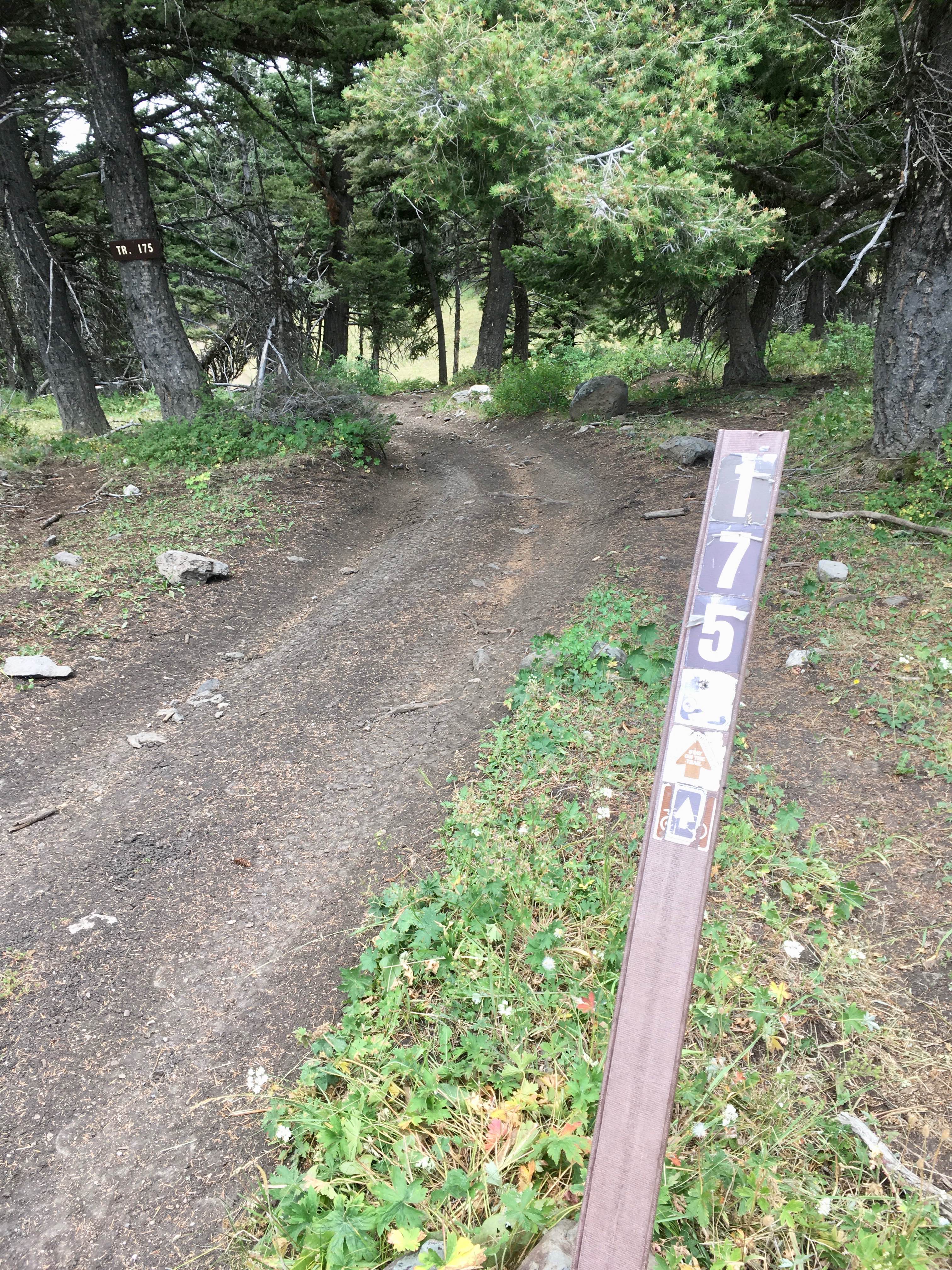 Lone Pine Pass ATV Trail