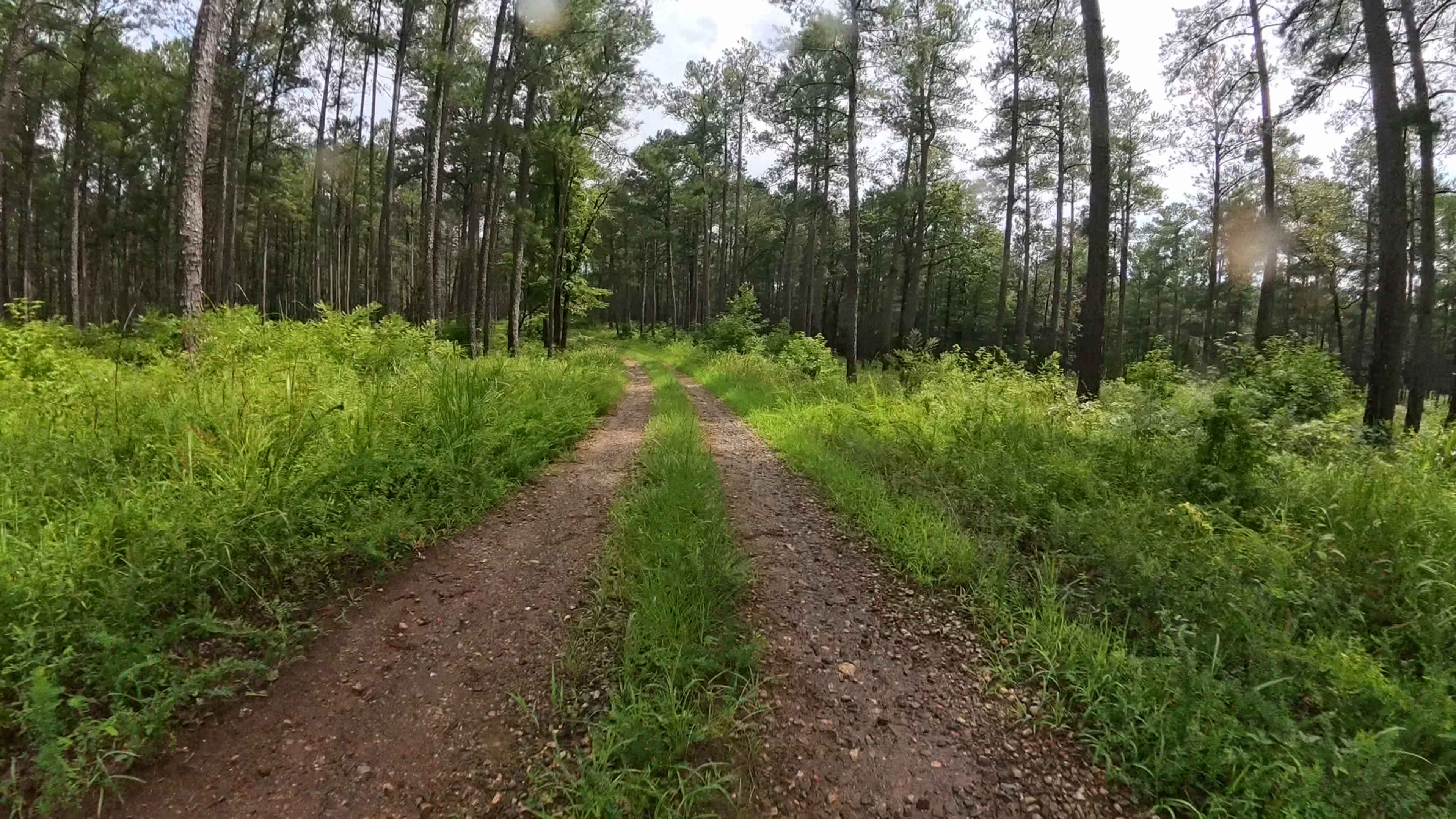 Lower Falling Creek - FS 1023