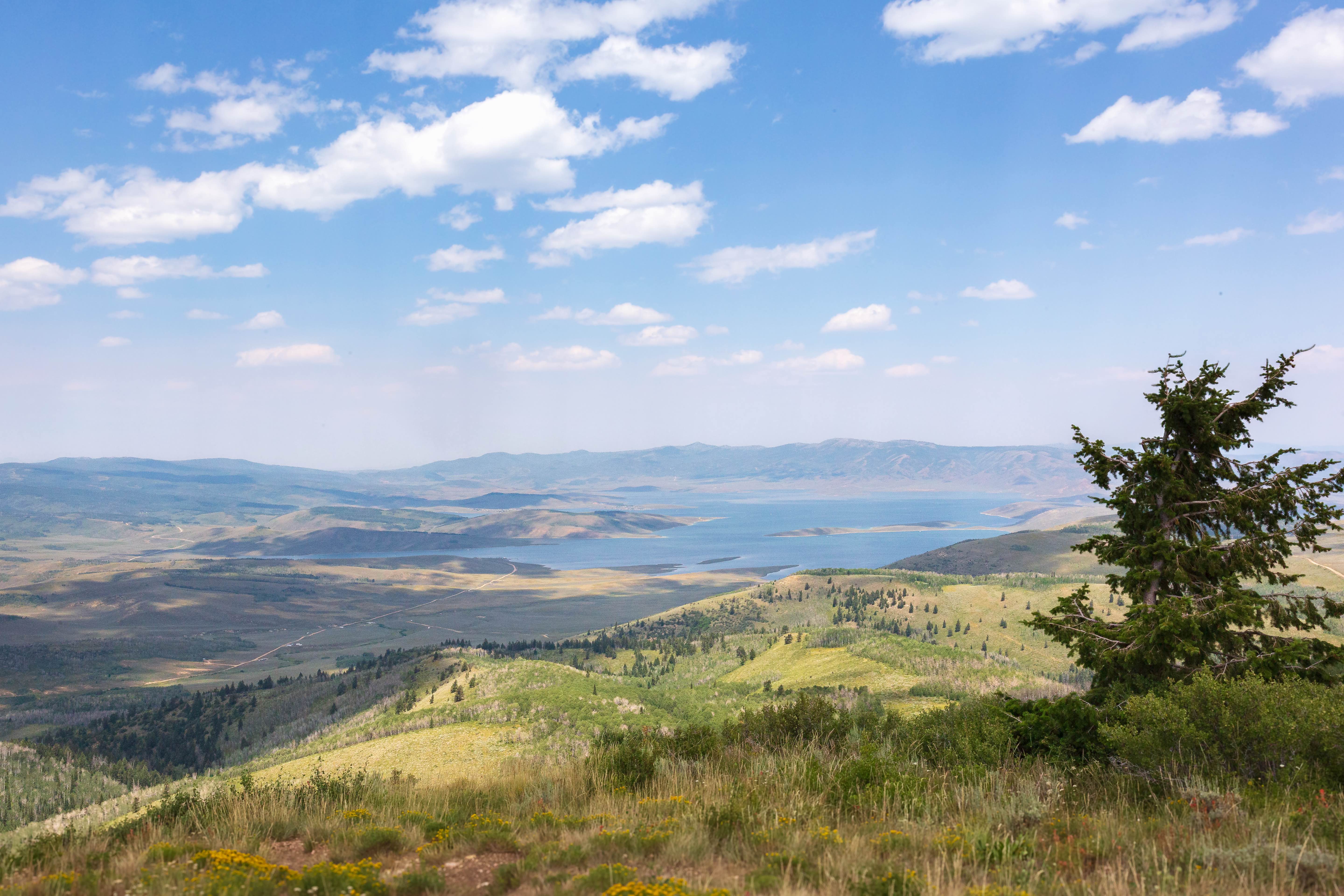 Devil's Notch - FS 70090