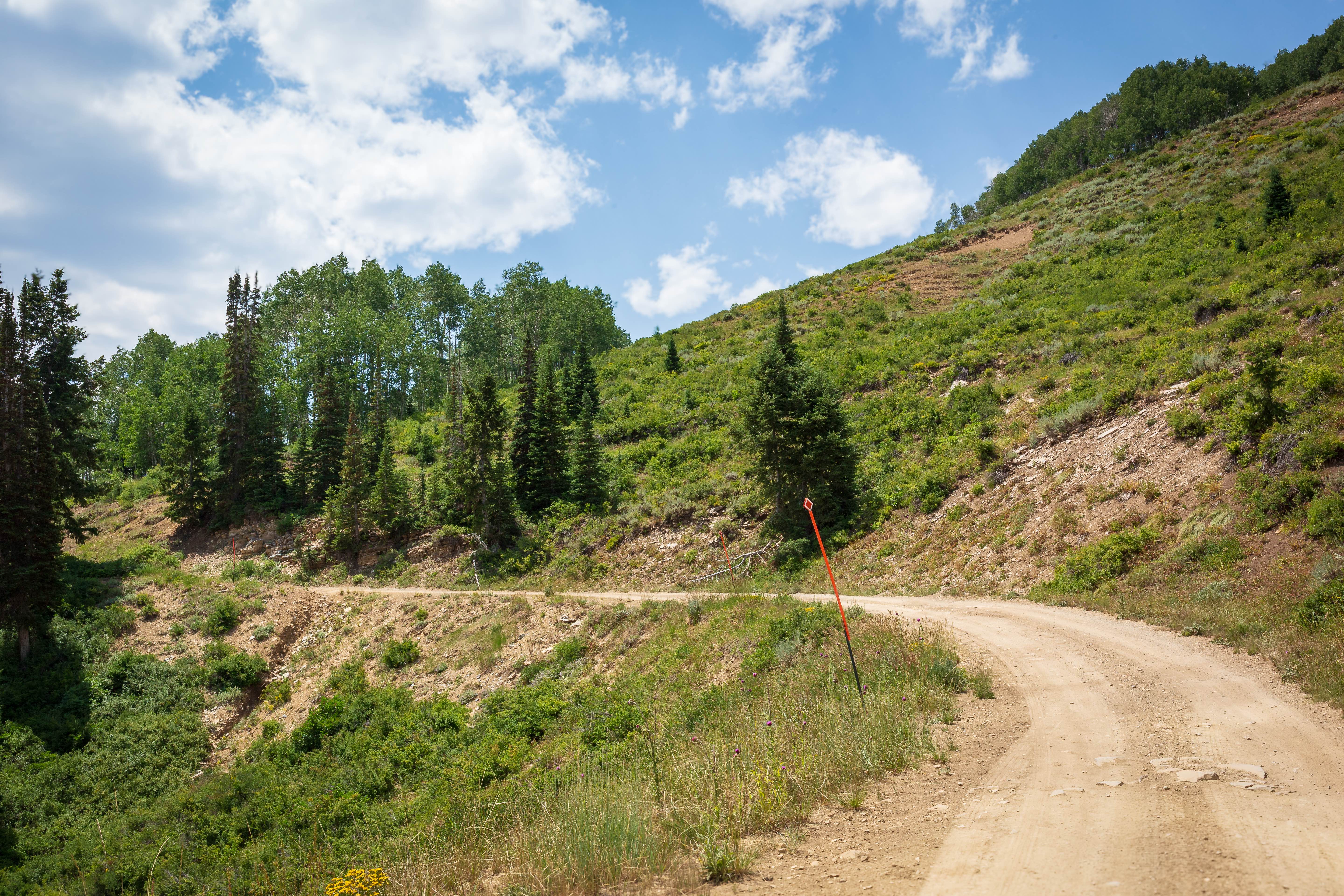 Devil's Notch - FS 70090