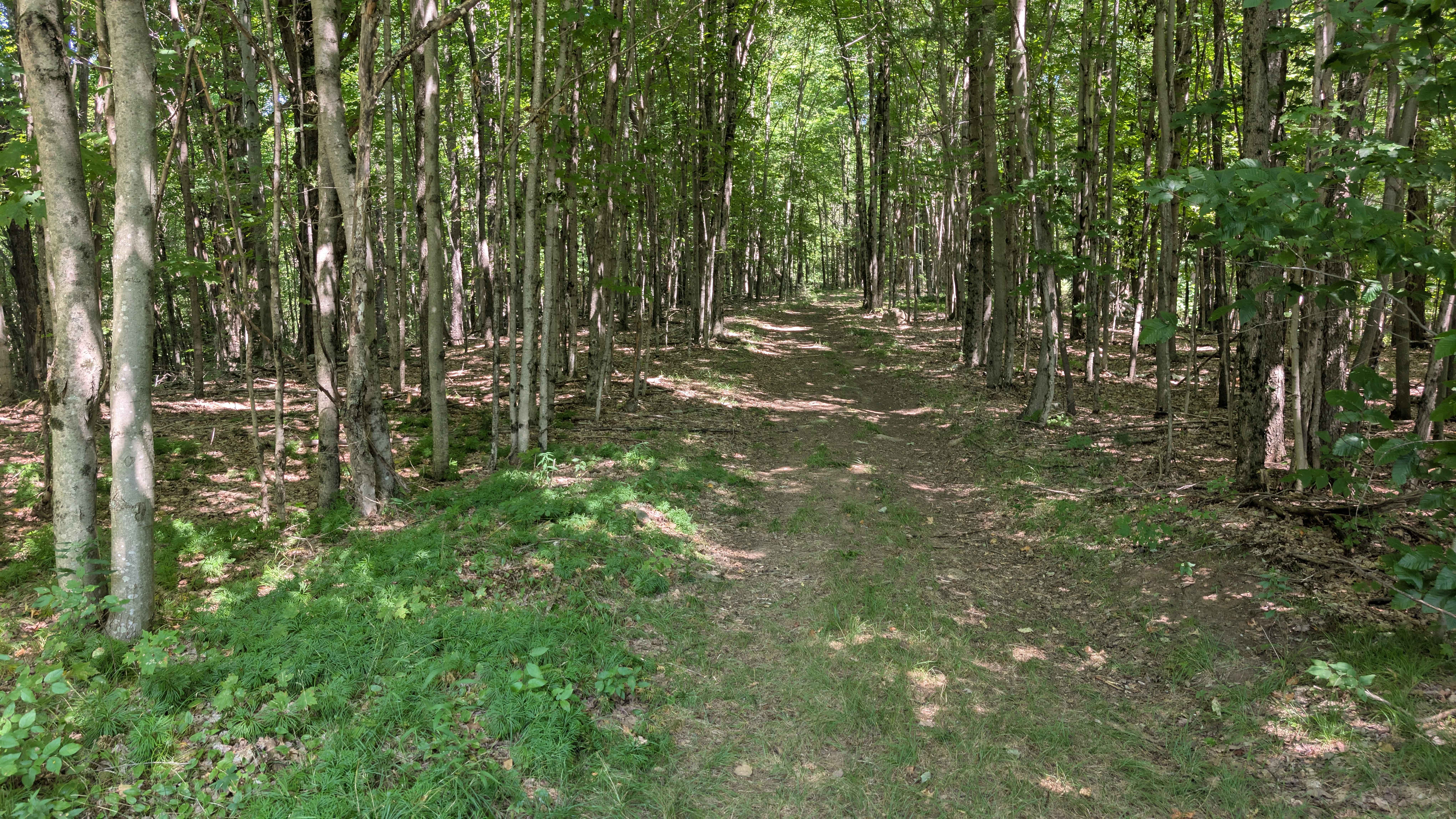 Dana Hill-Given Road Connector