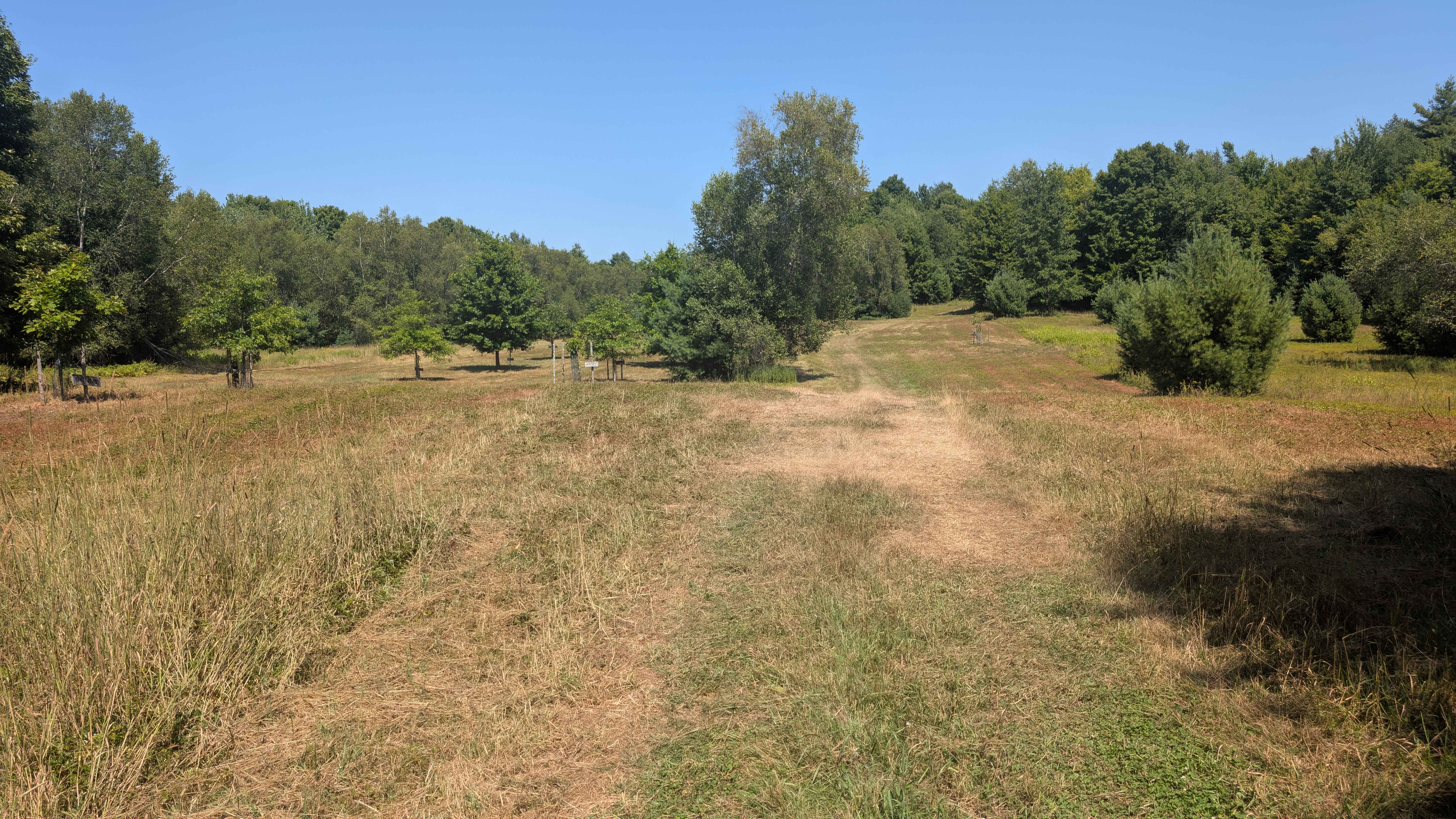 Dana Hill-Given Road Connector