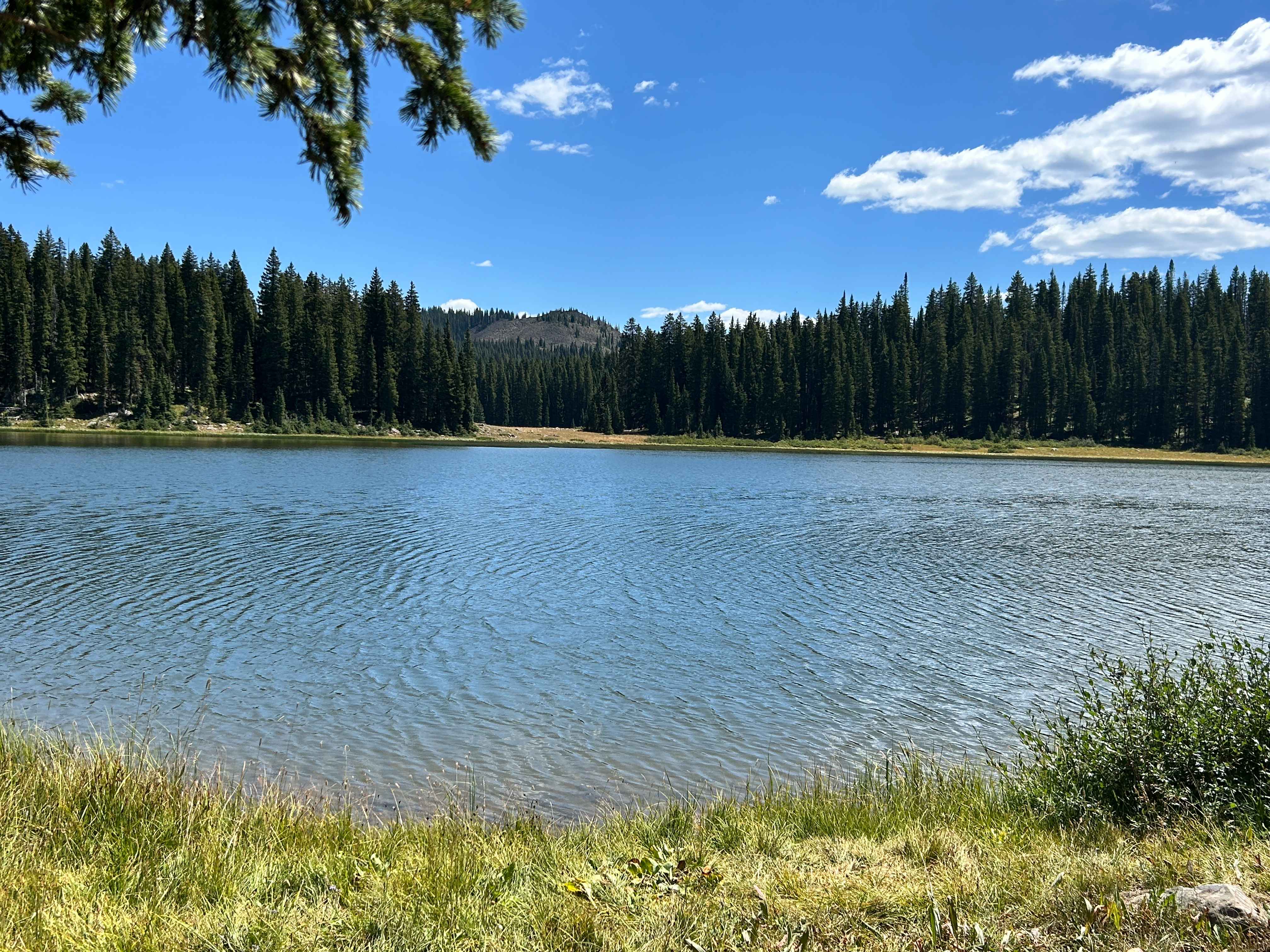 Hunter Reservoir Trail