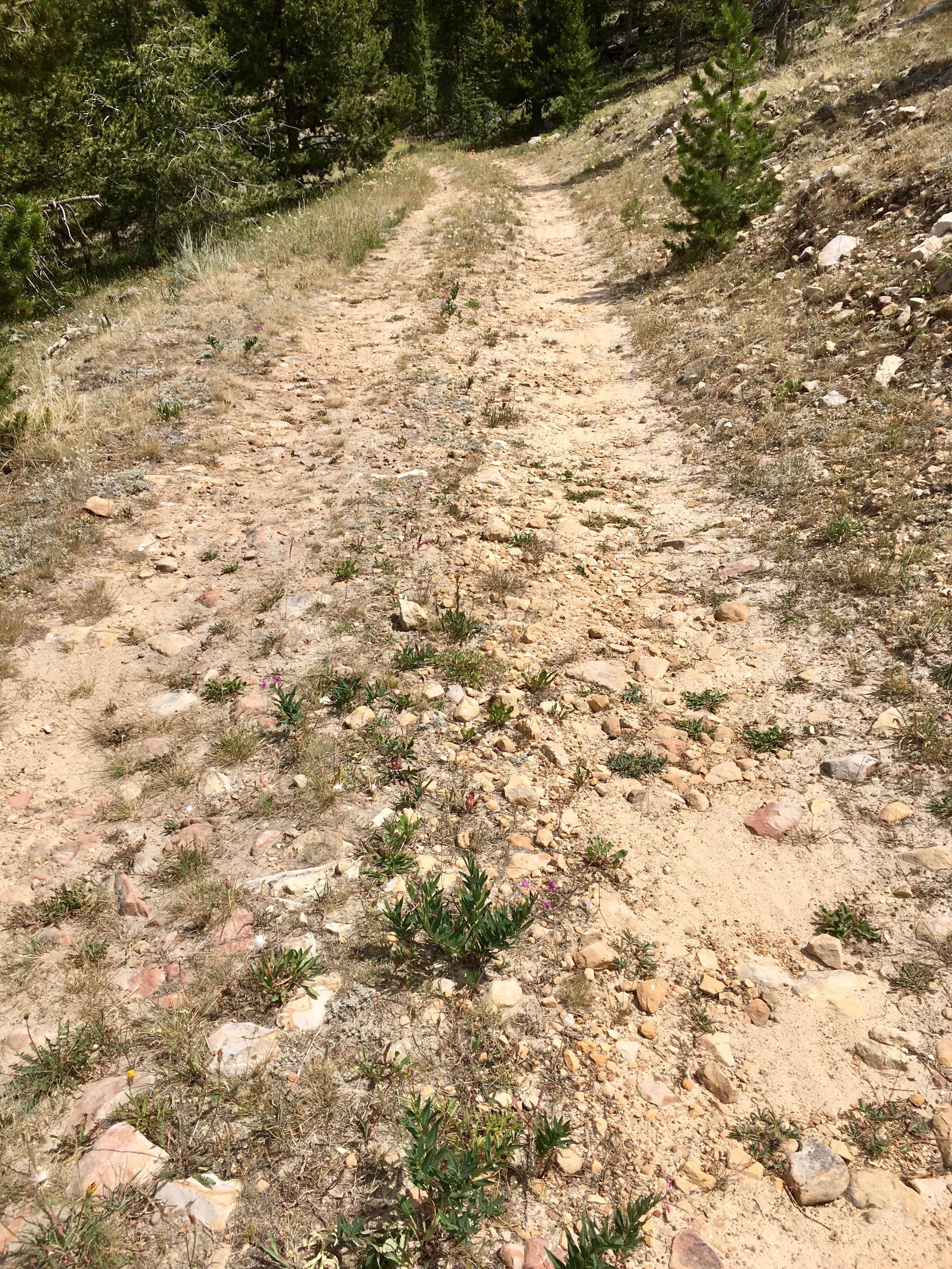 White Pine Ridge Route