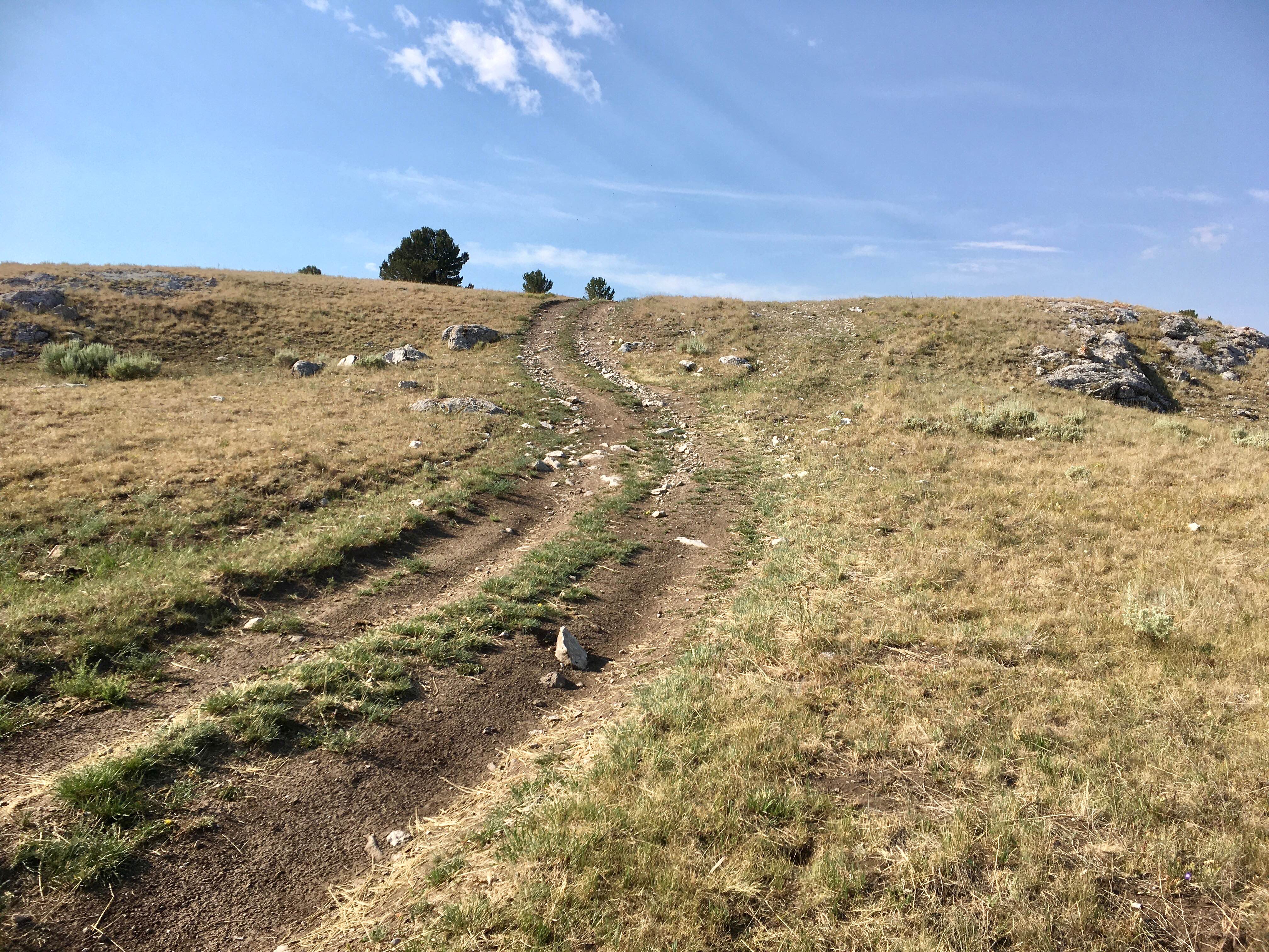 West Fork Ridge Road