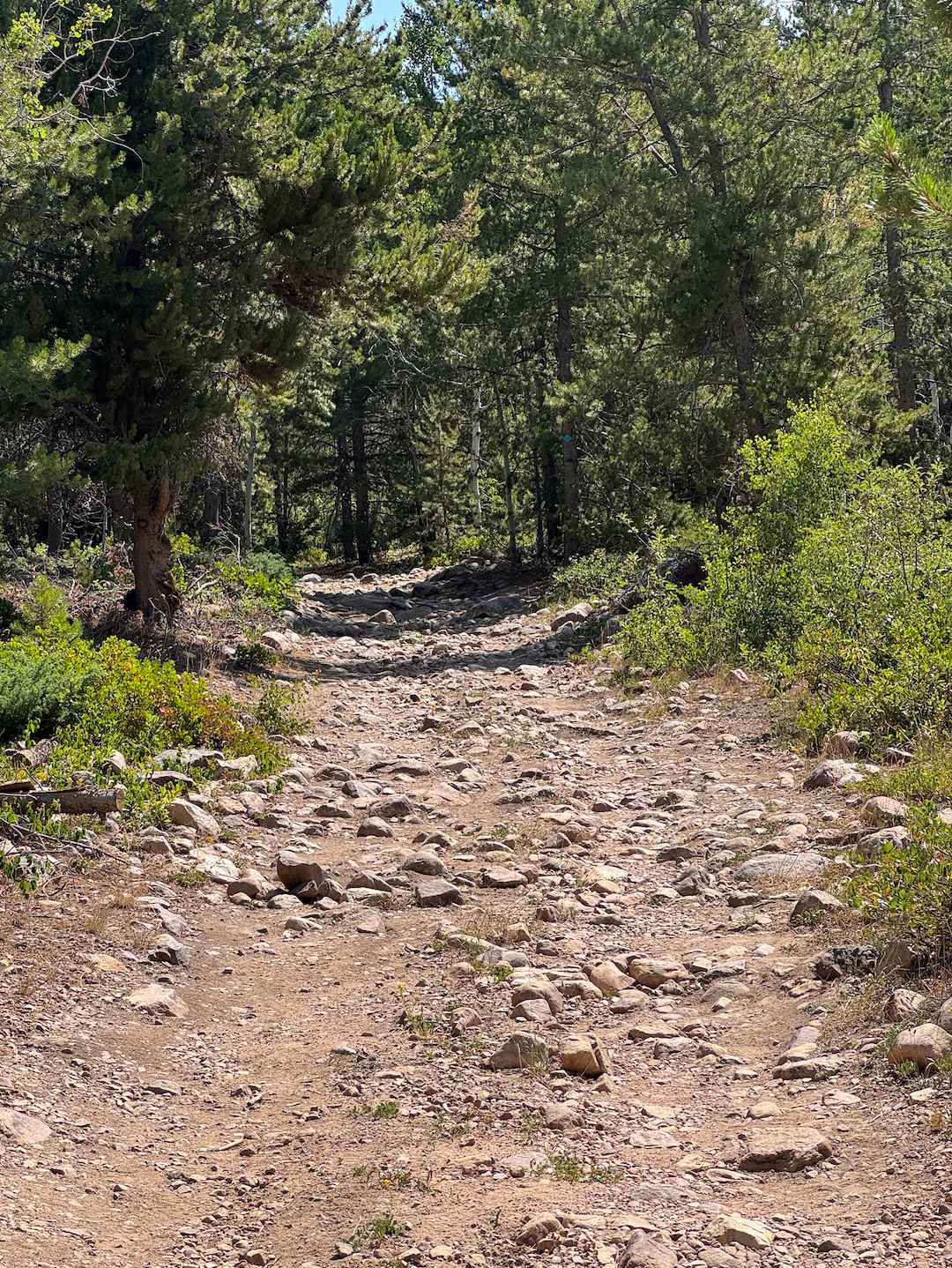 North Fork of the Provo