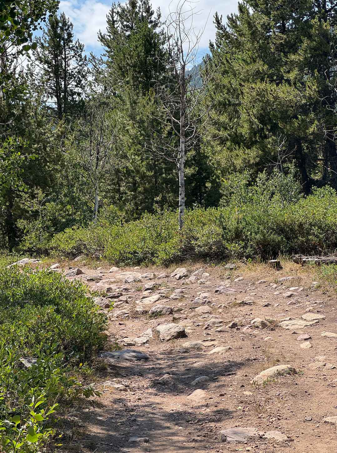 North Fork of the Provo