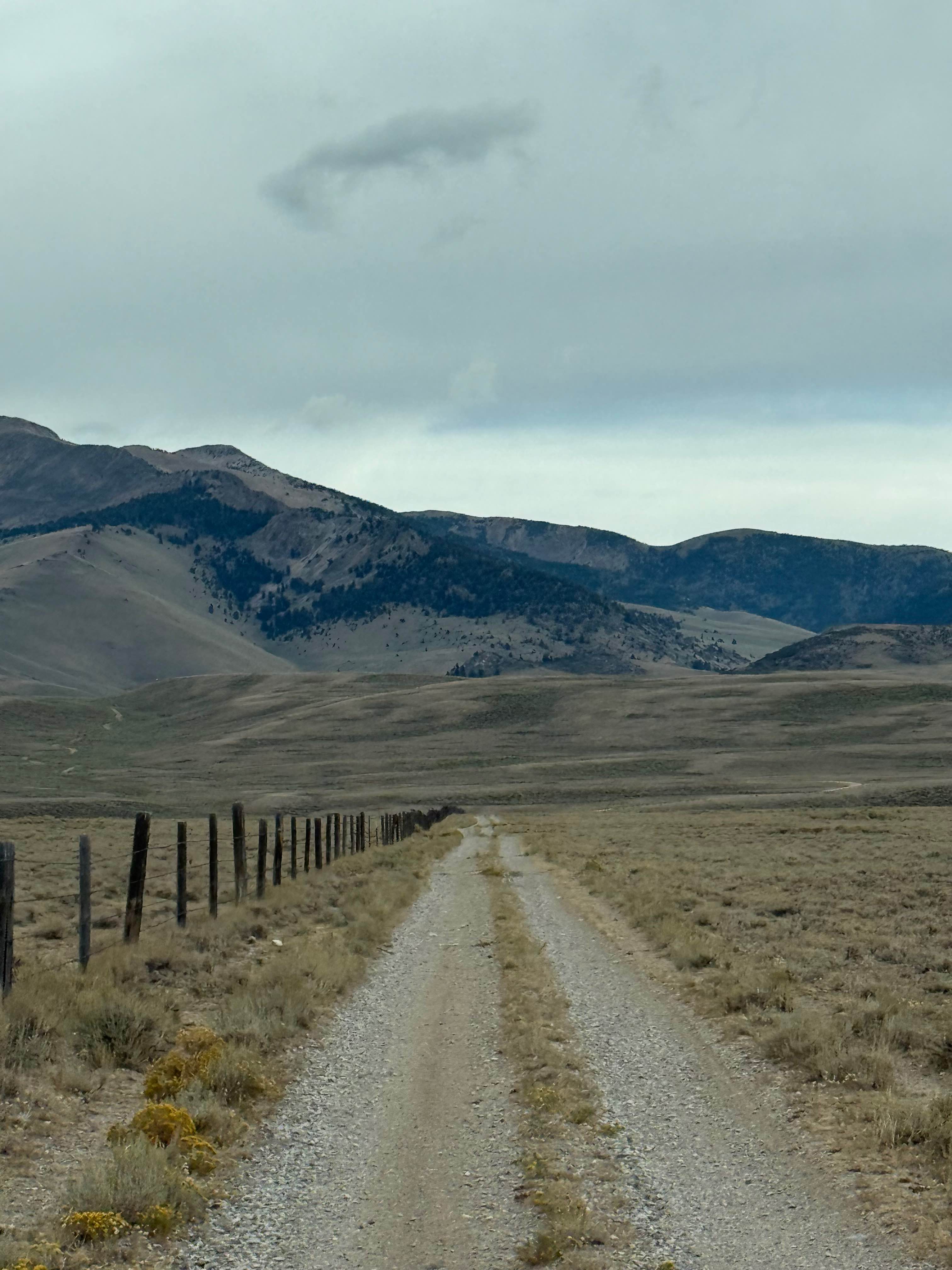 Willow Creek - Viola Mine