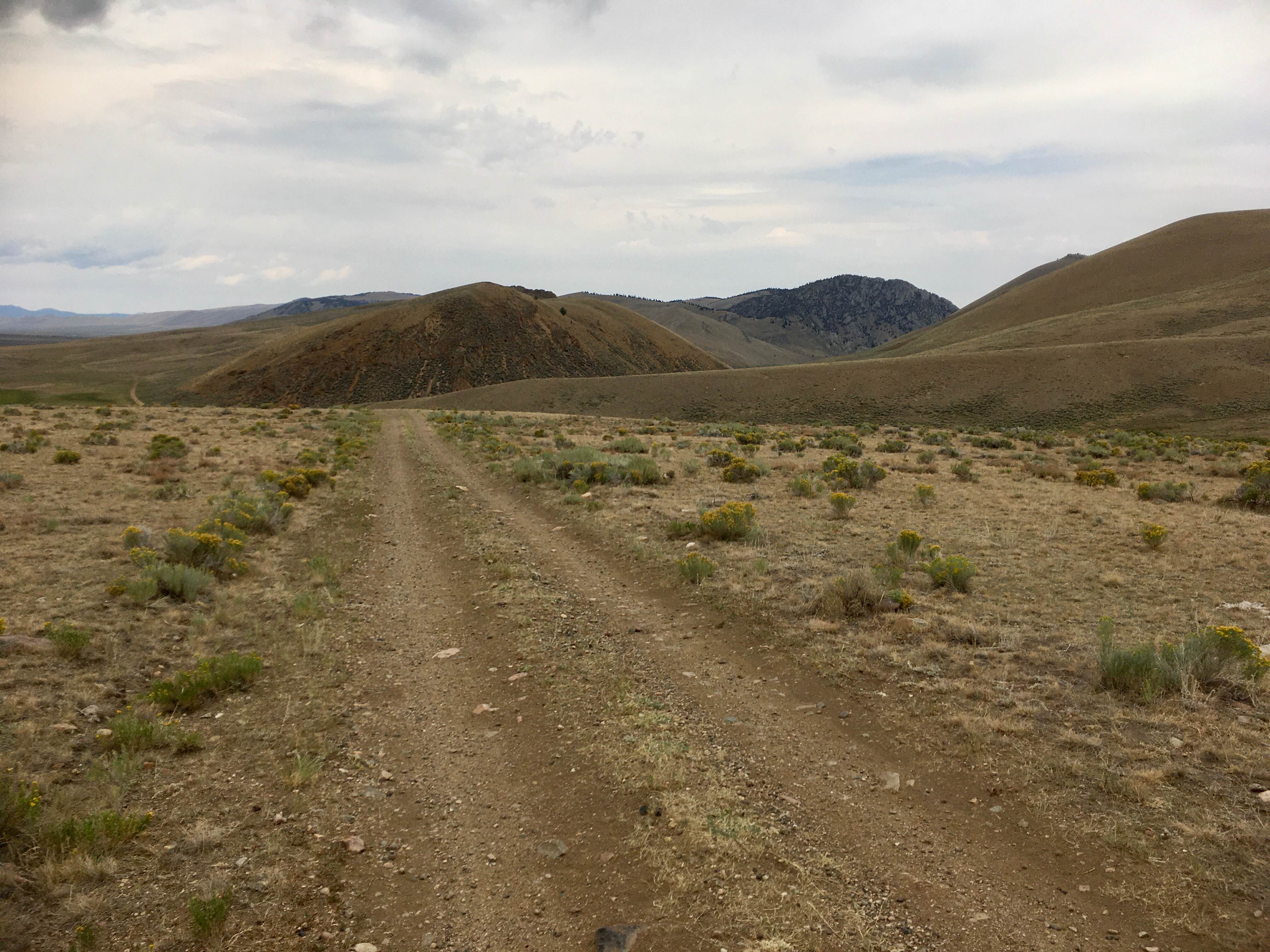 Bannack Pass Road