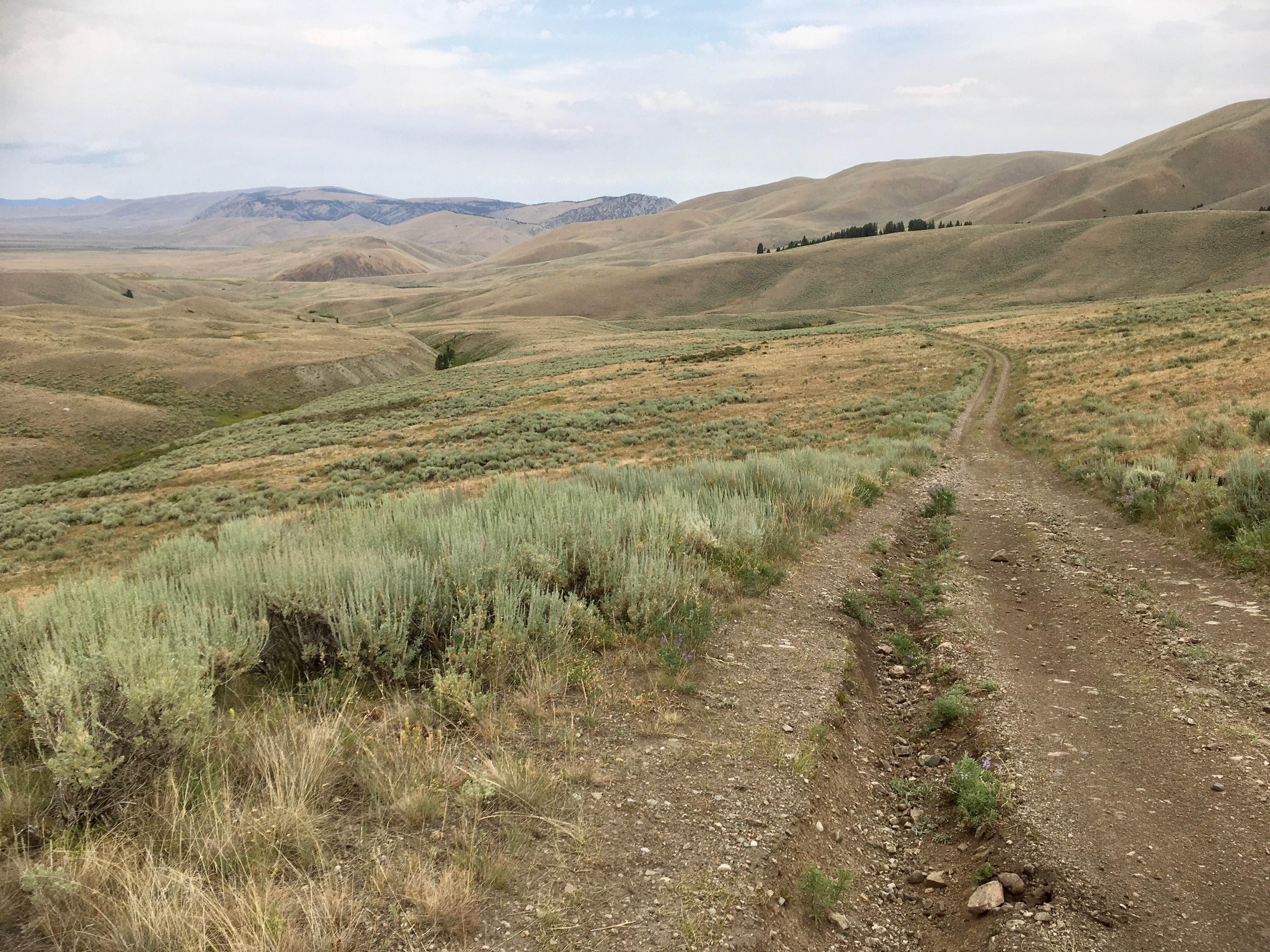 Bannack Pass Road