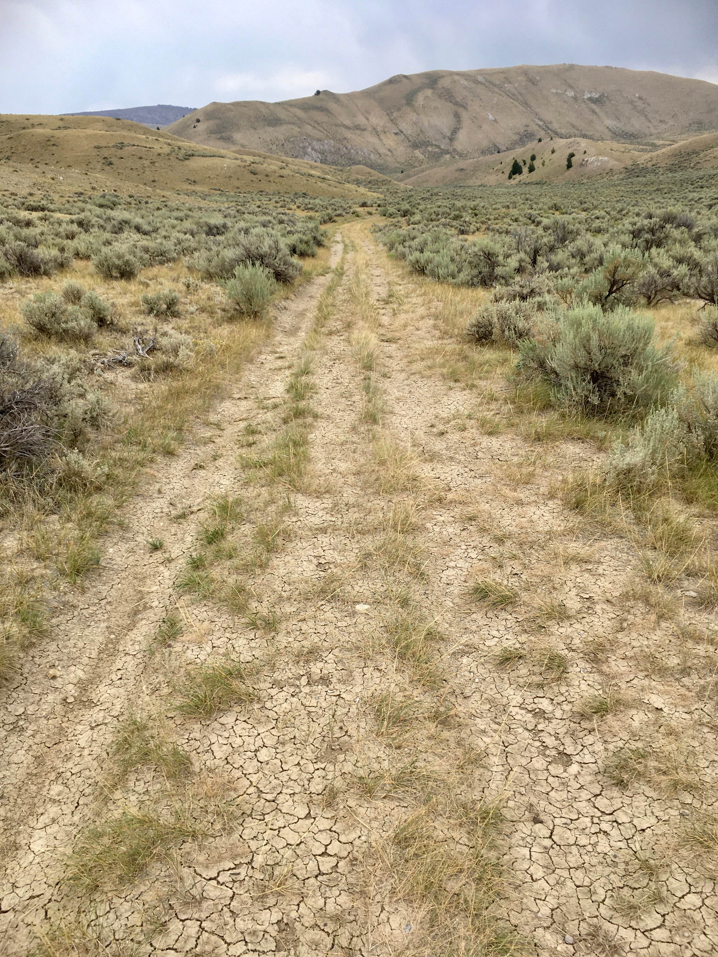 Little Water Creek Road