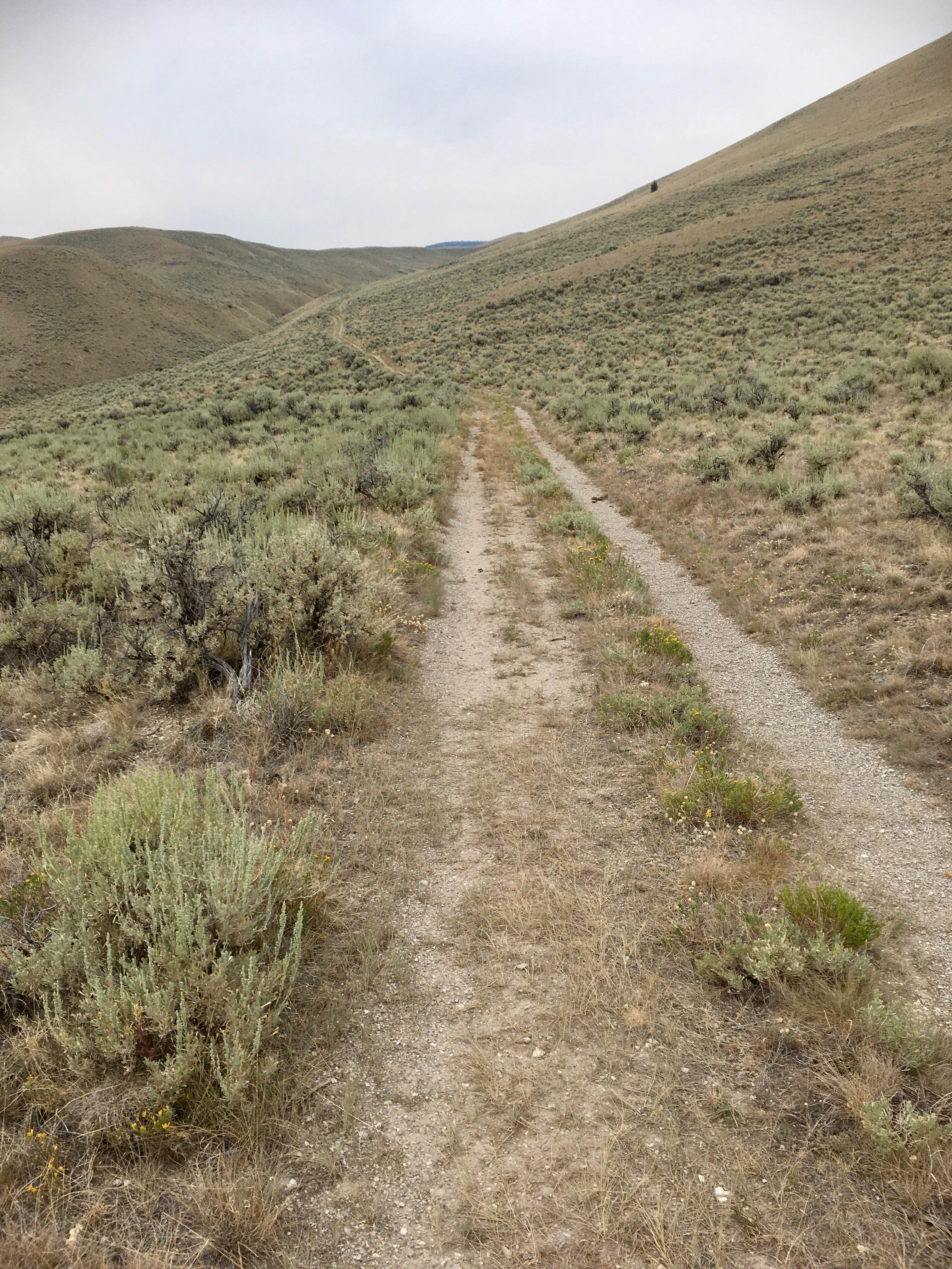 Little Water Creek Road