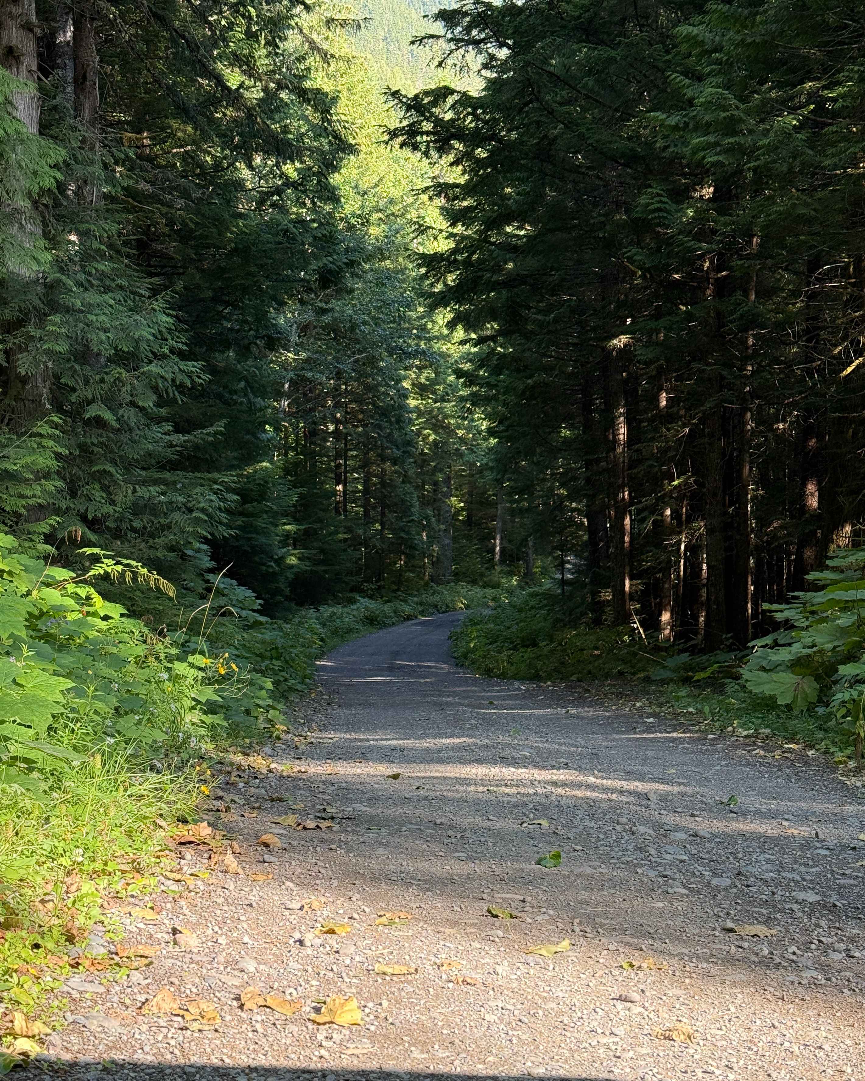 Copper Mountain Trail