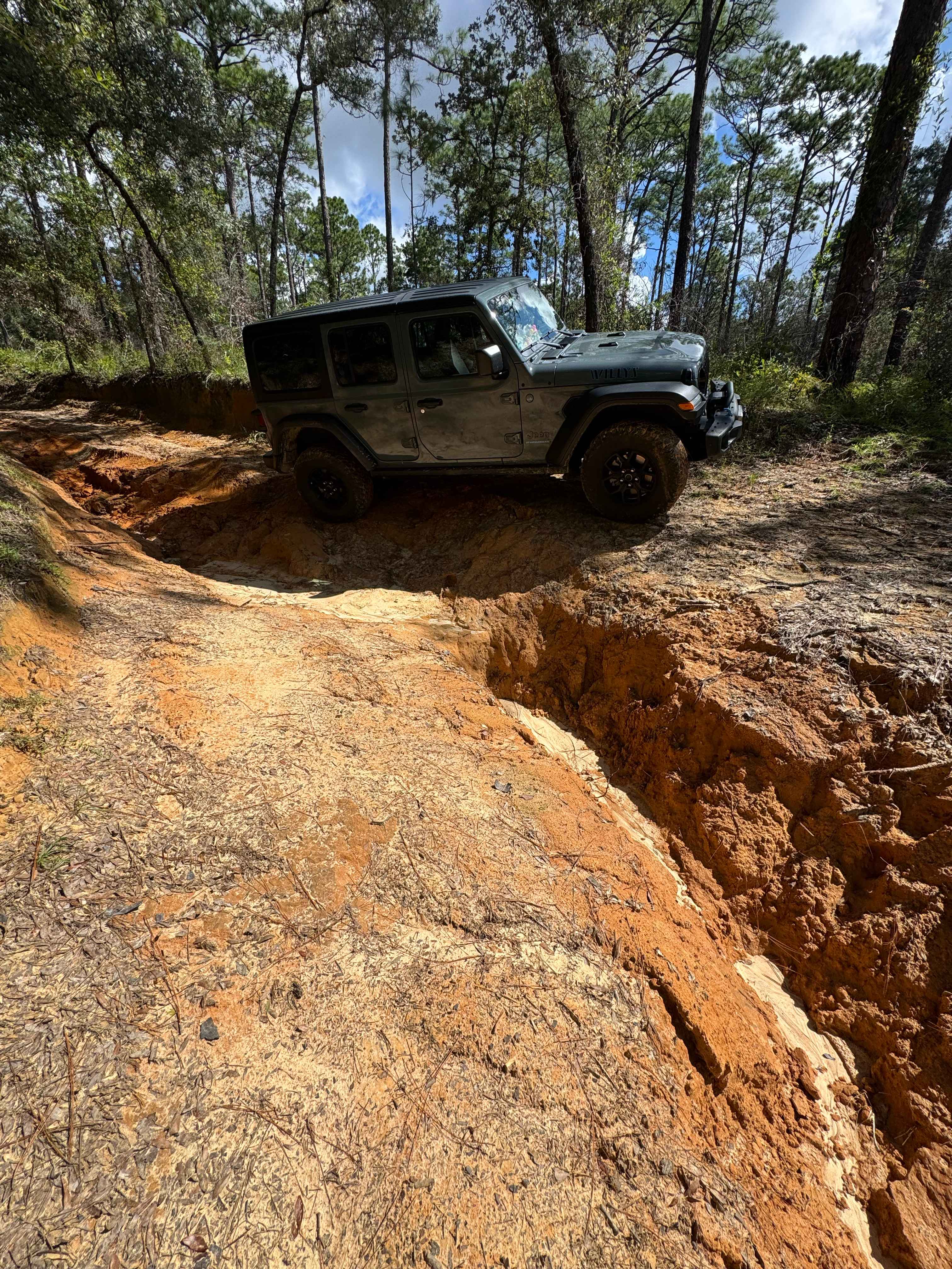 Trail 19 - Citrus WMA