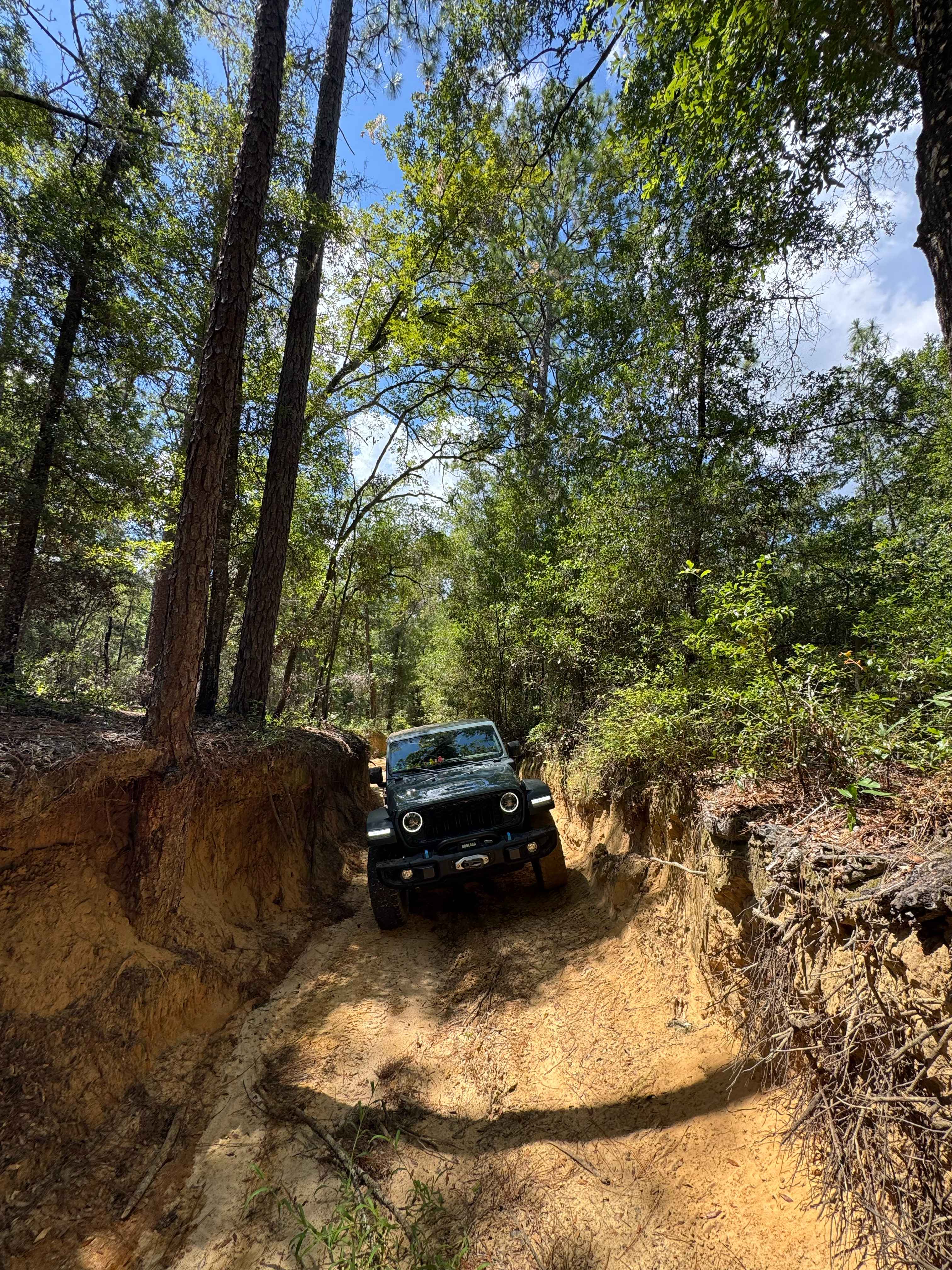 Trail 19 - Citrus WMA