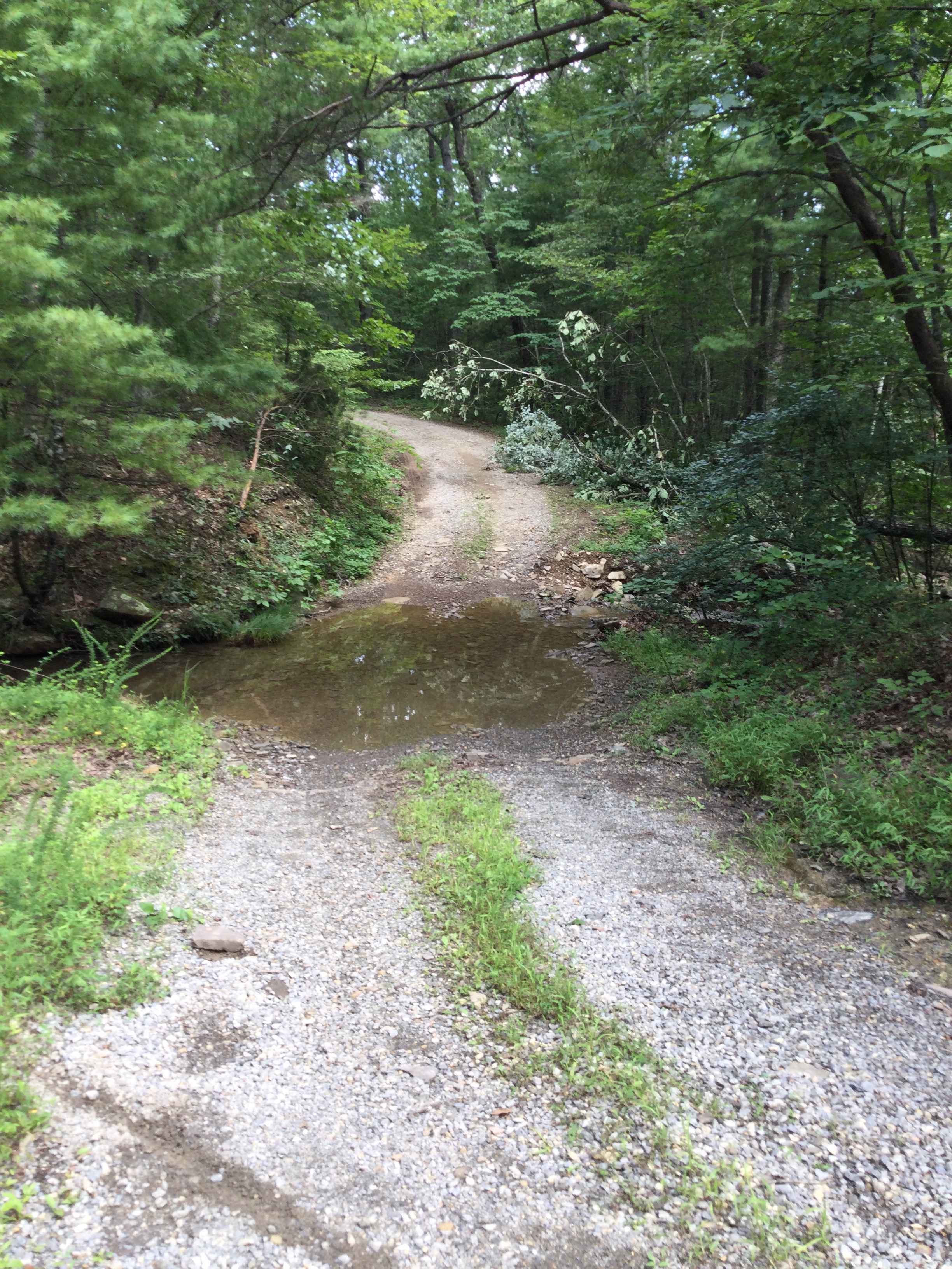 Wildlife Road - FS 224