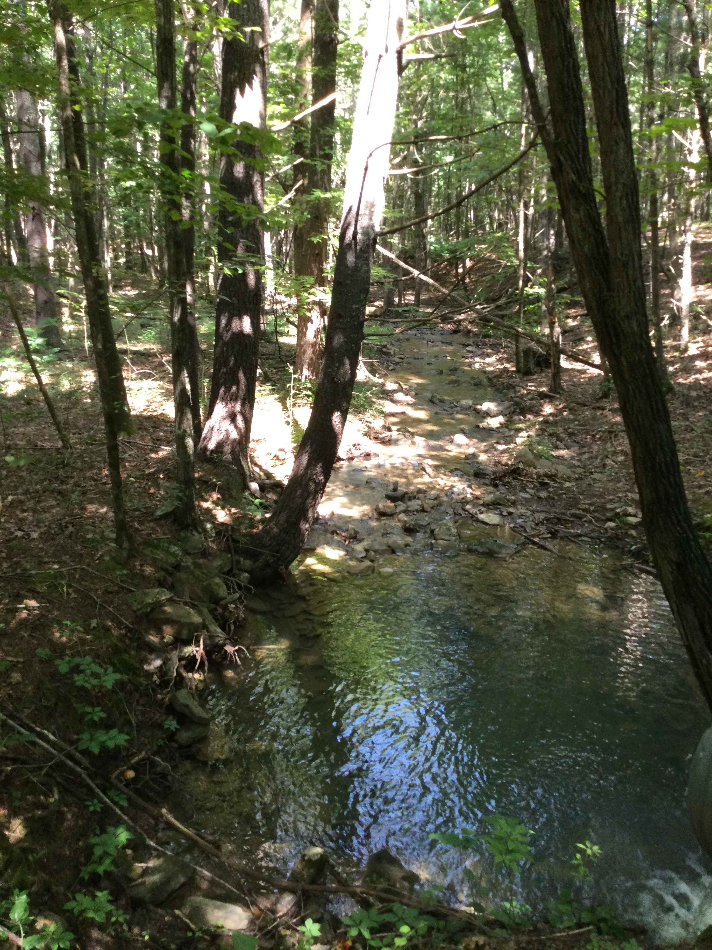 Wildlife Road - FS 224