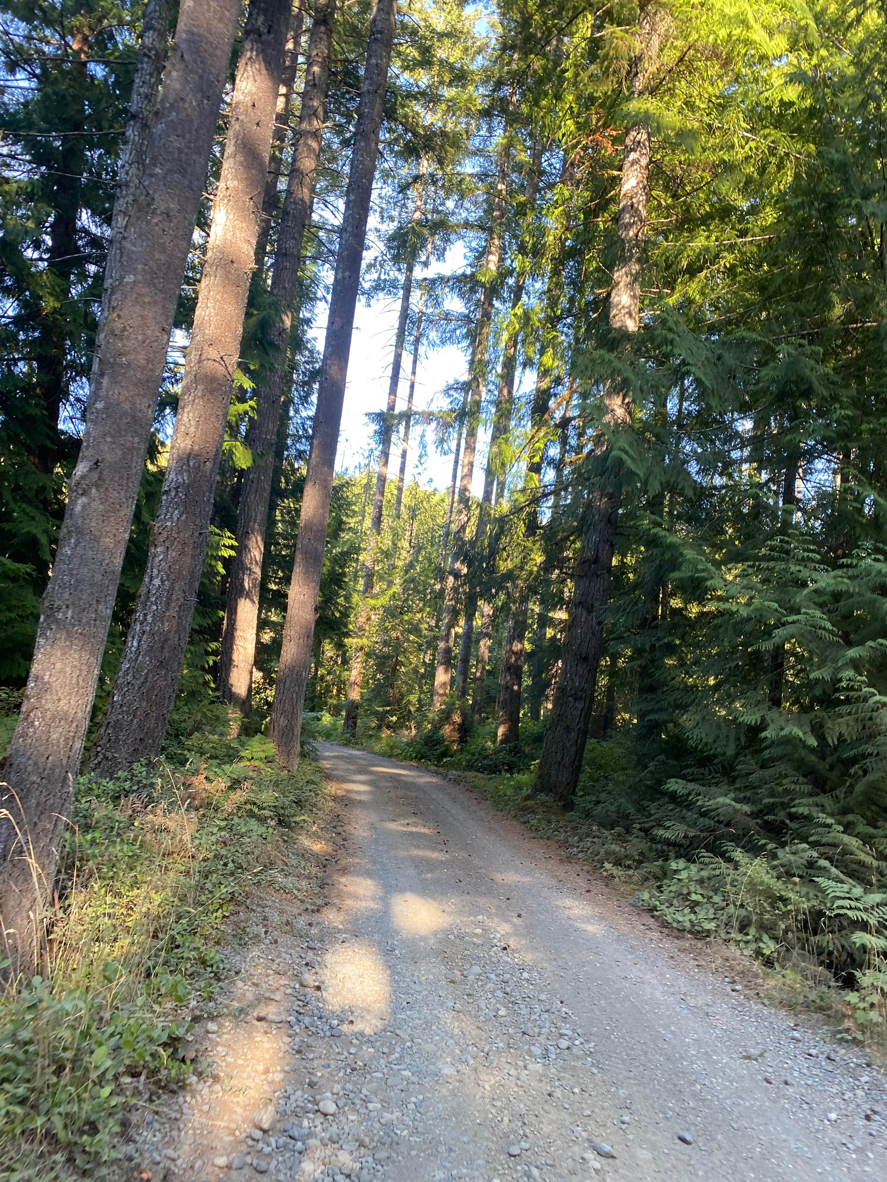 Big Bay Recreation Site