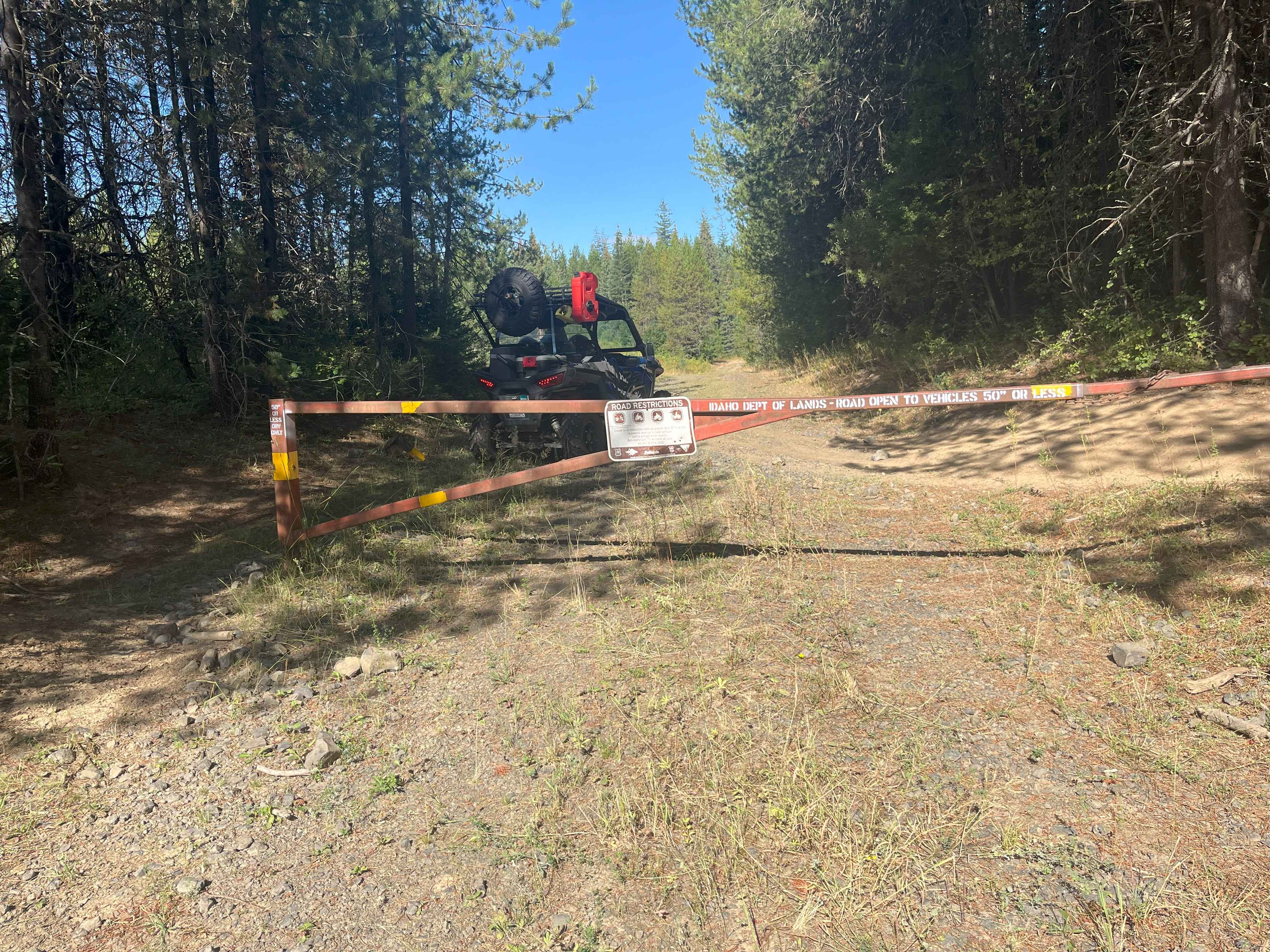 Moose Creek Upper Road Track