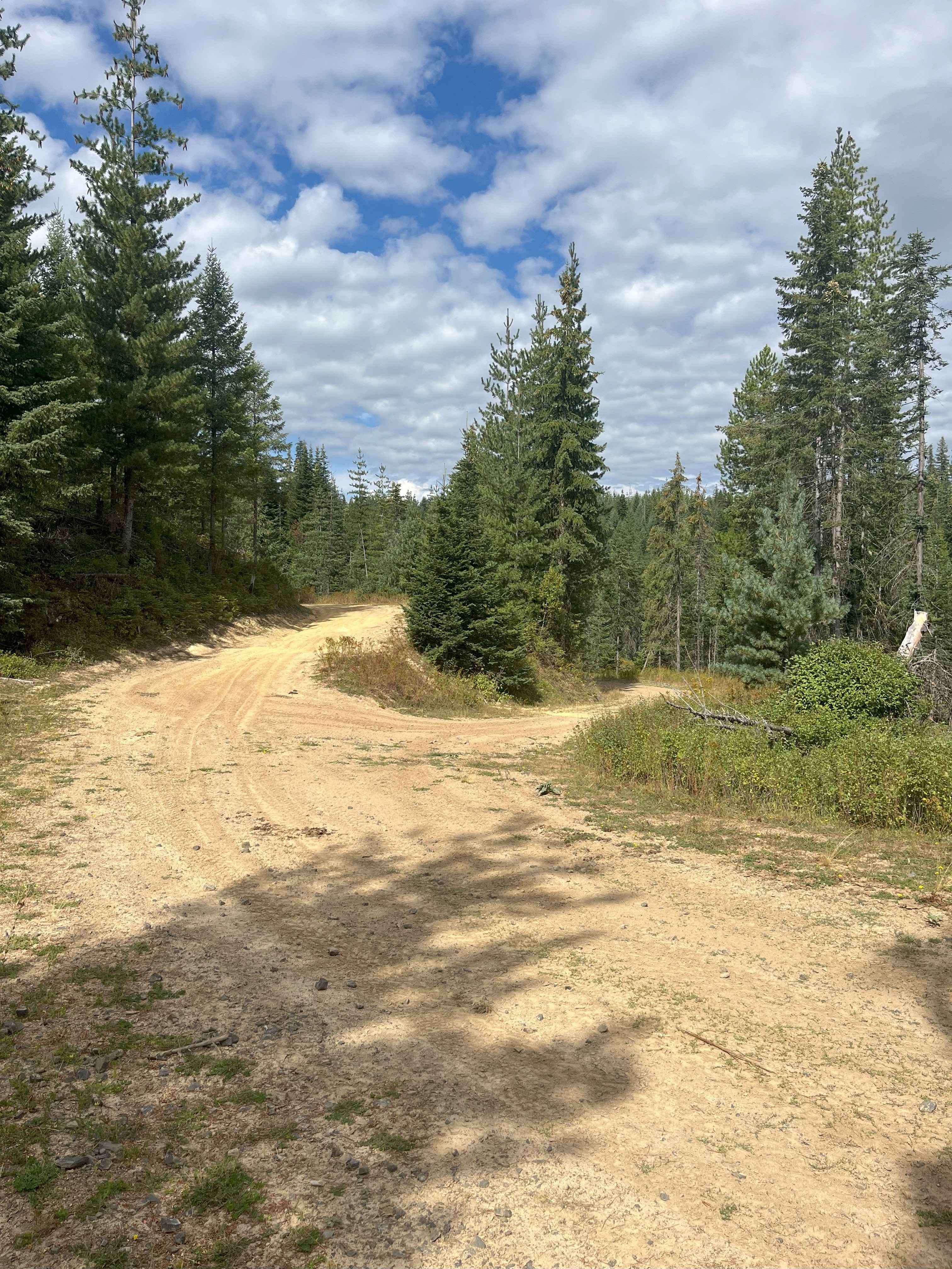 Moose Creek Lower Road Track