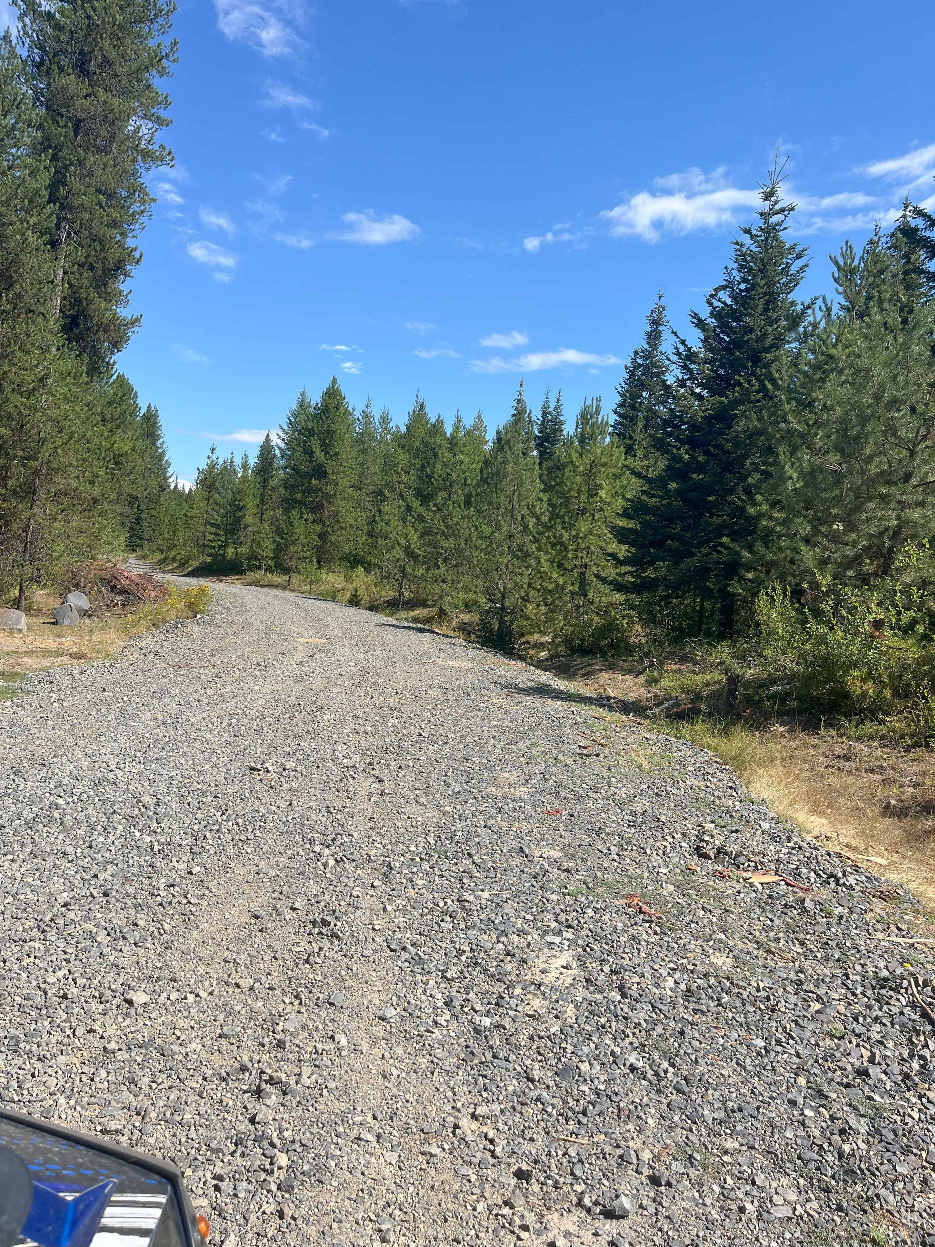 New Logging Road