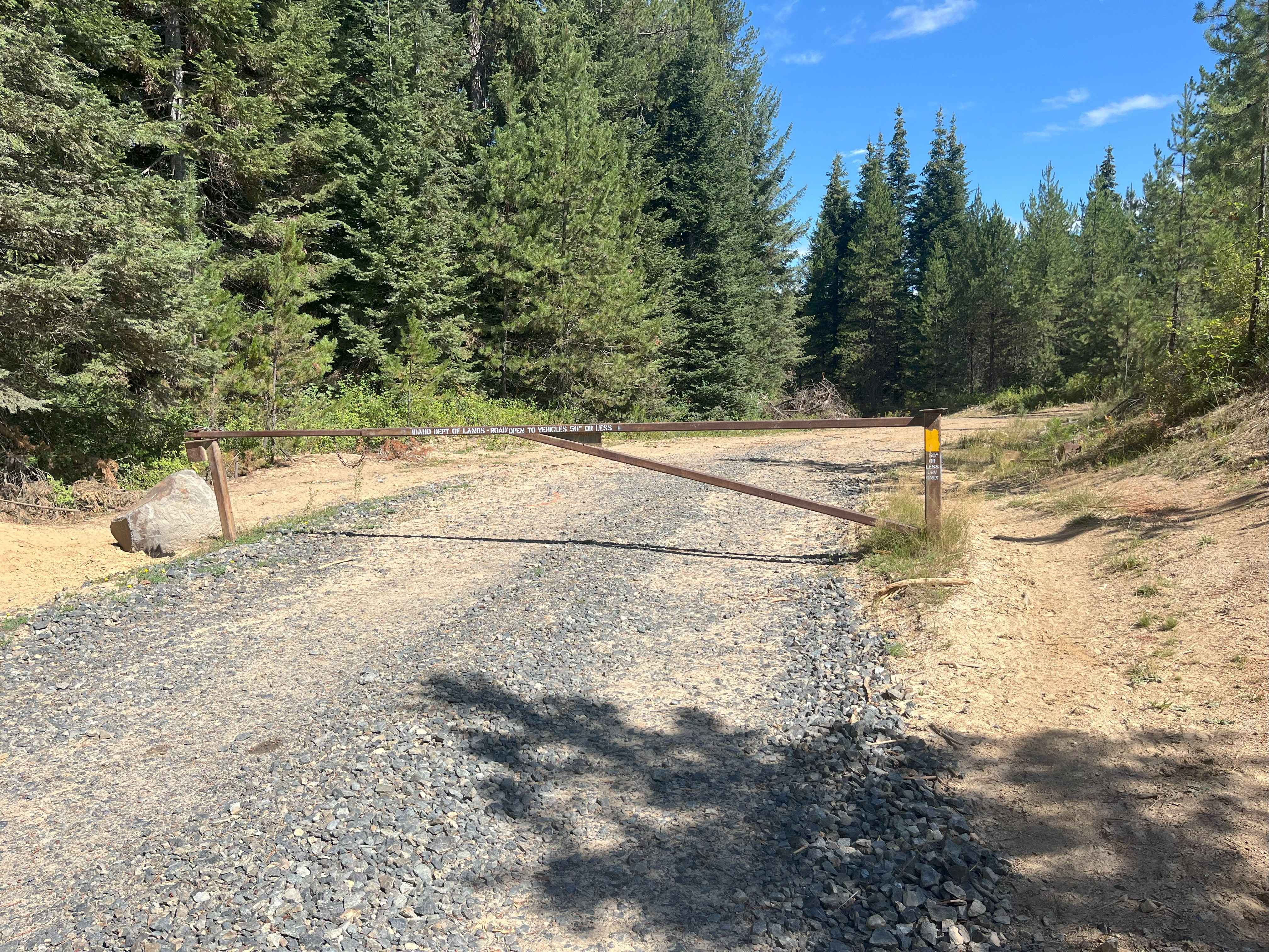 New Logging Road