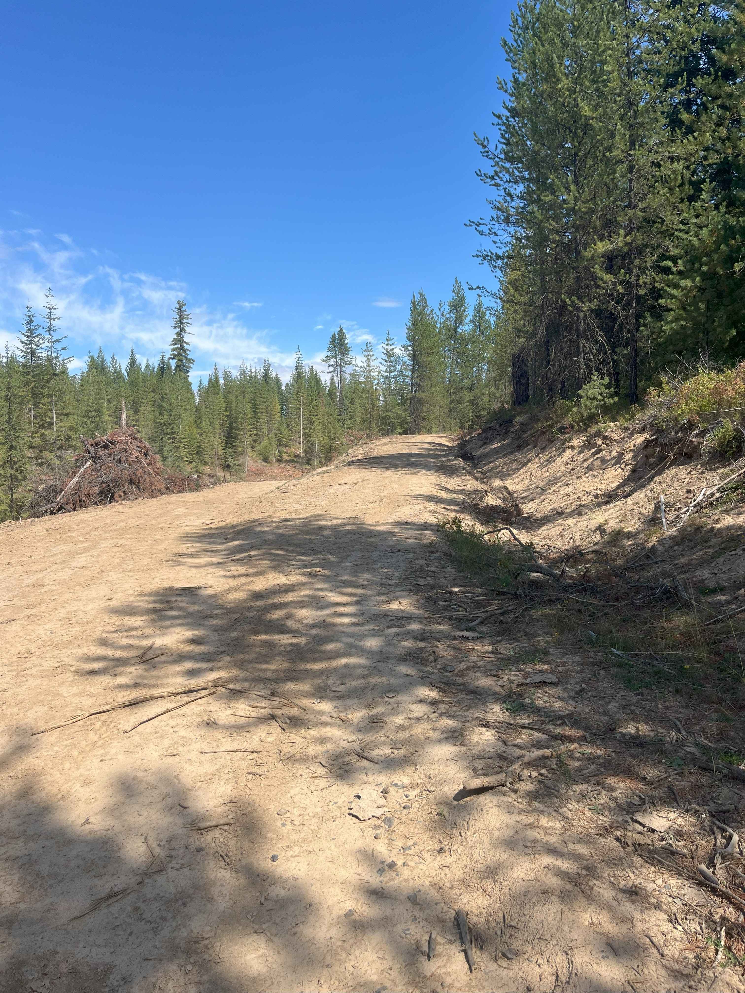 Moose Creek Old Logging Road Track
