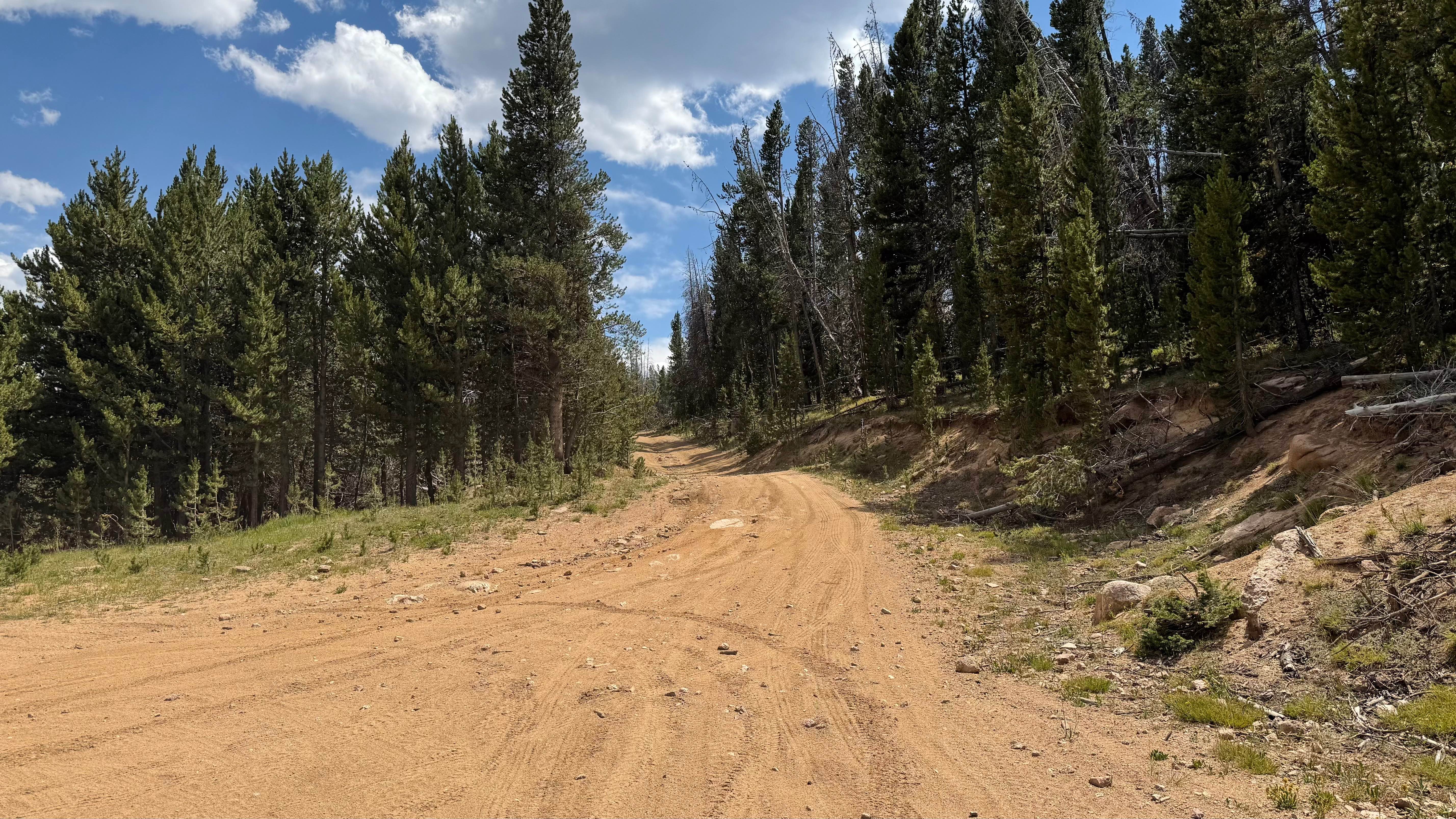 Forest Service Road 318.A