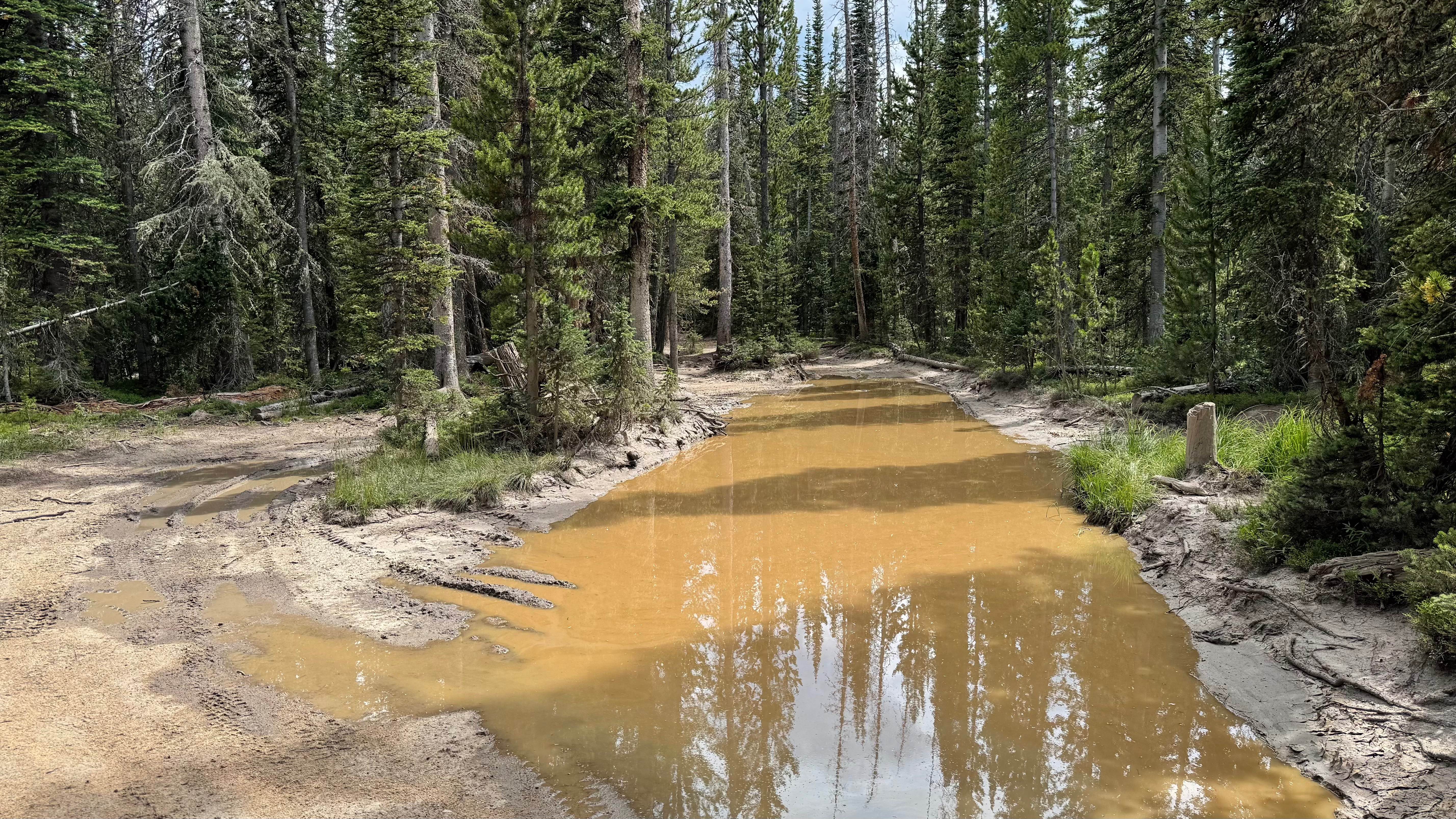 Forest Service Road 318.A