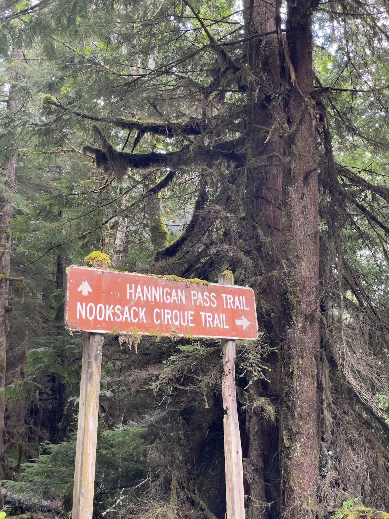 Nooksack Trail
