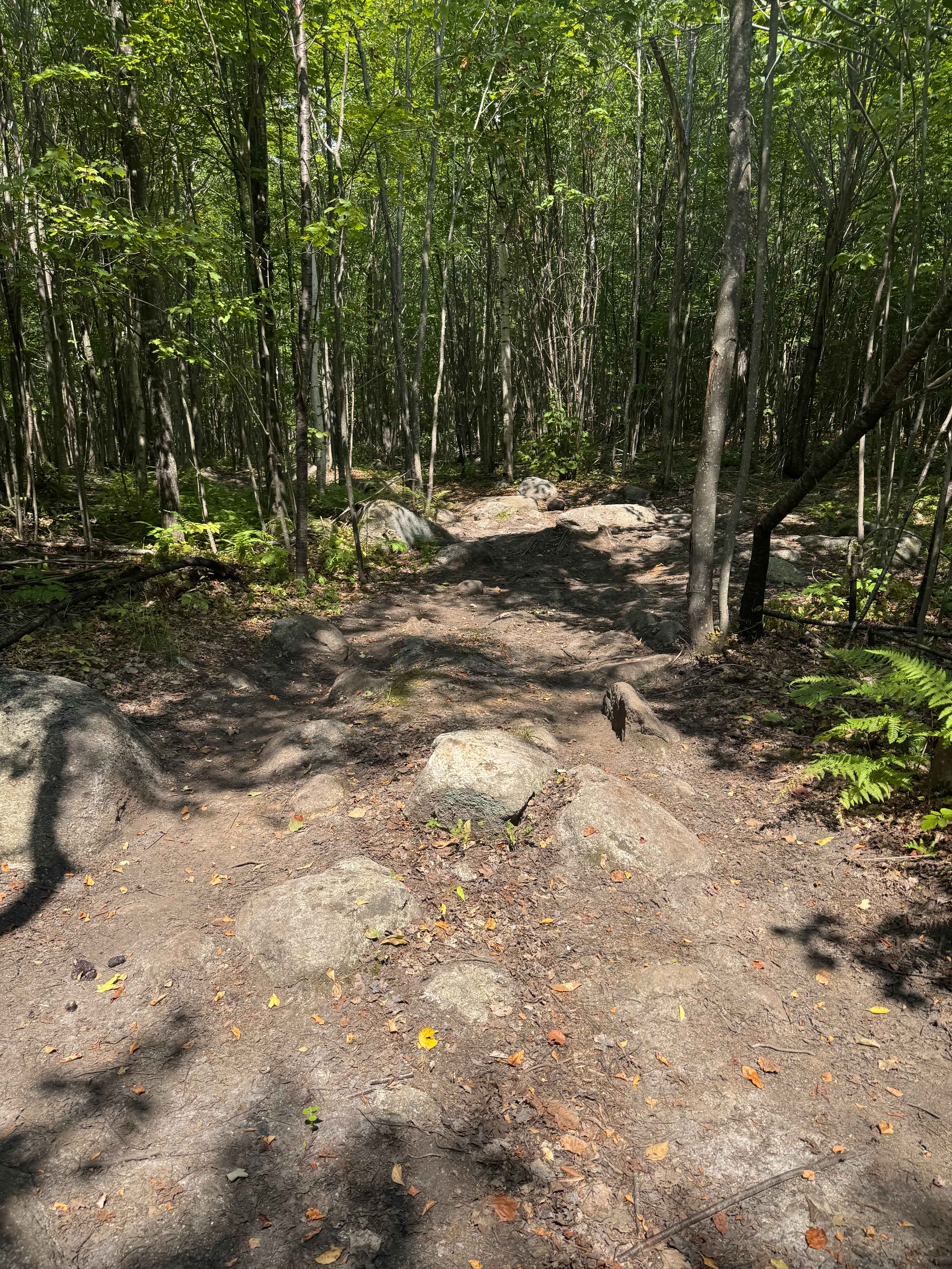 Jericho Mountain 4x4 Truck & Jeep trail - Main Trail