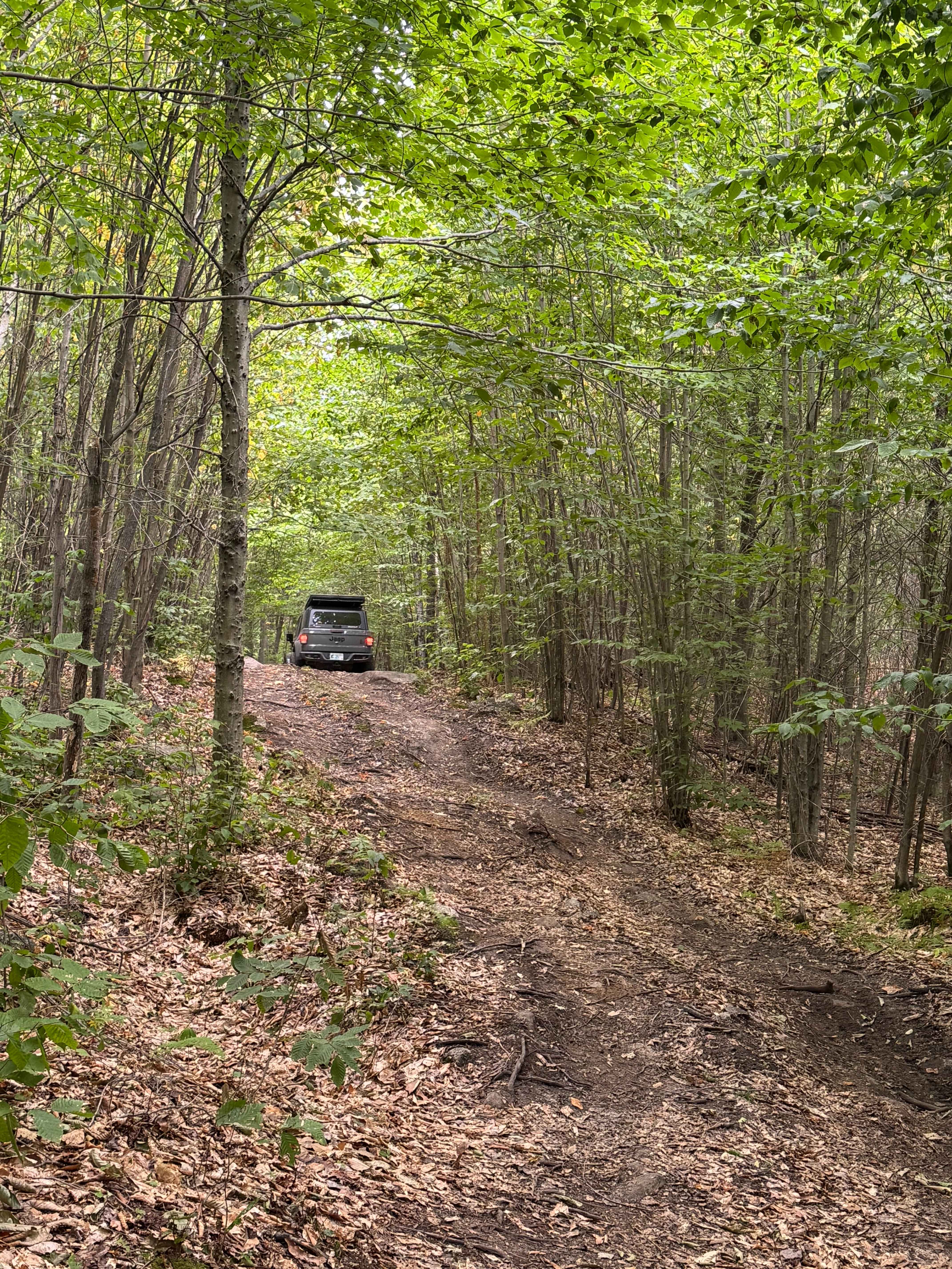 Jericho Mountain 4x4 Truck & Jeep Trail - Easiest Loop