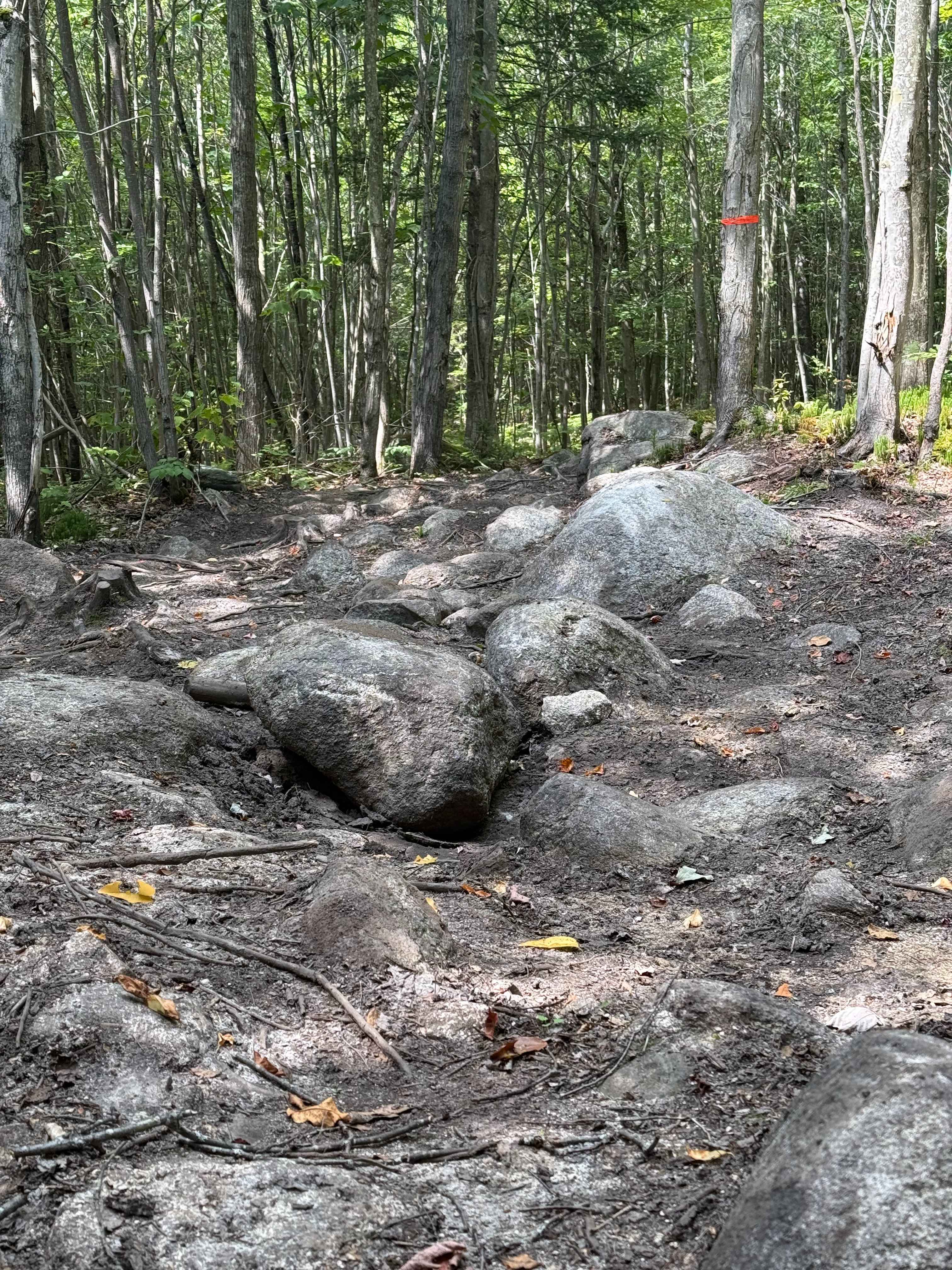 Jericho Mountain 4x4 Truck & Jeep Trail - Main Trail Extension