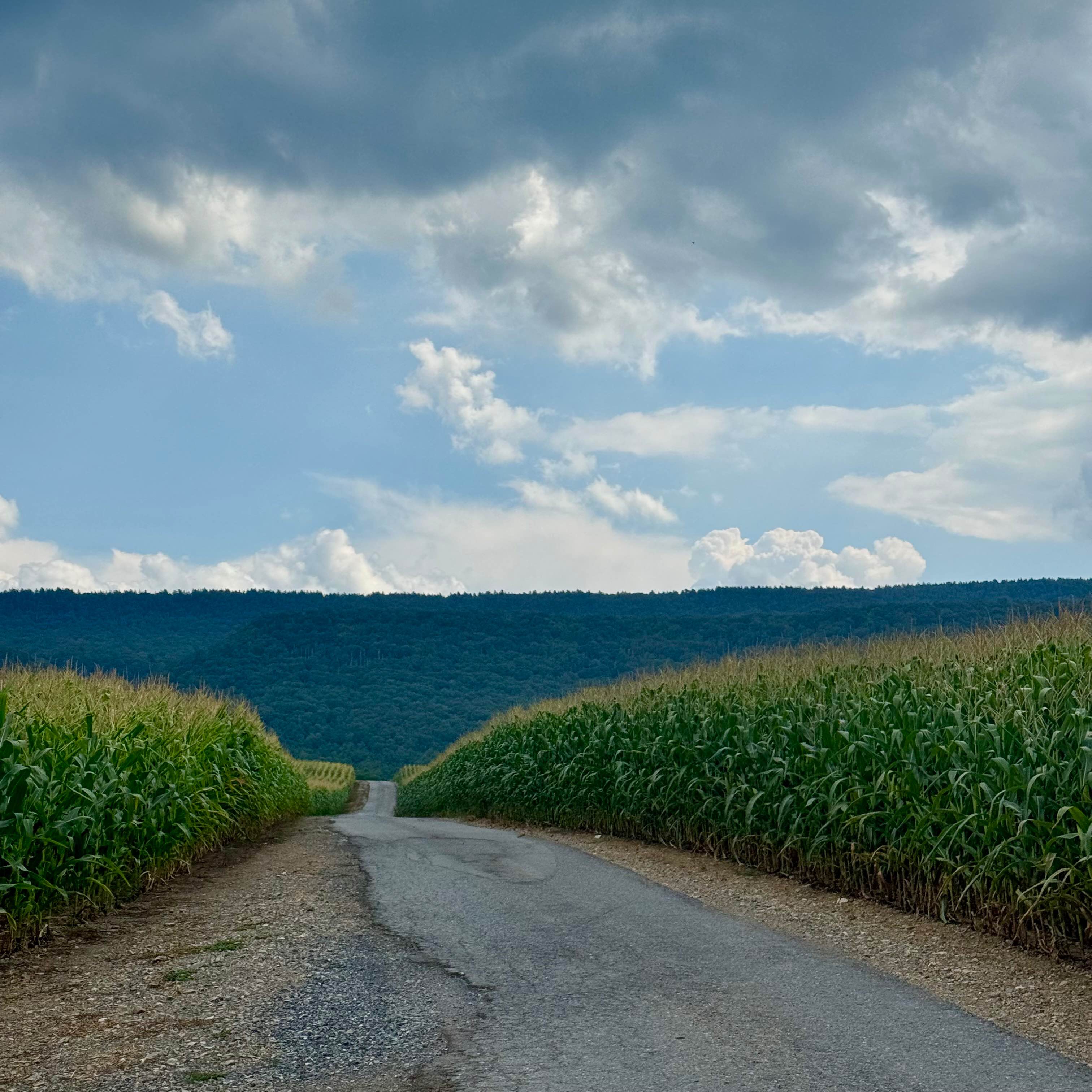 Pennsylvania Furnace Road