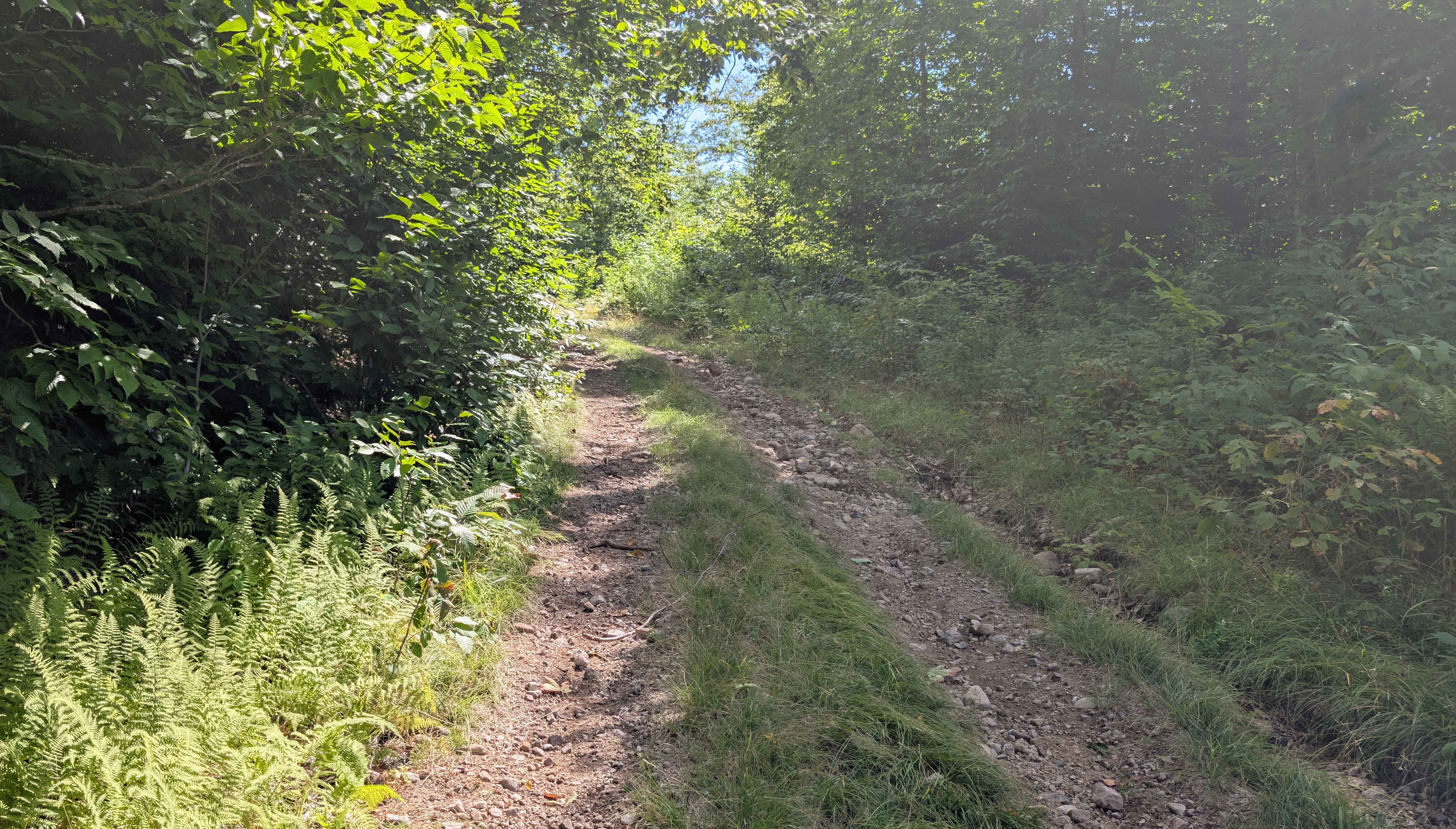 Grass River Trail Alternate