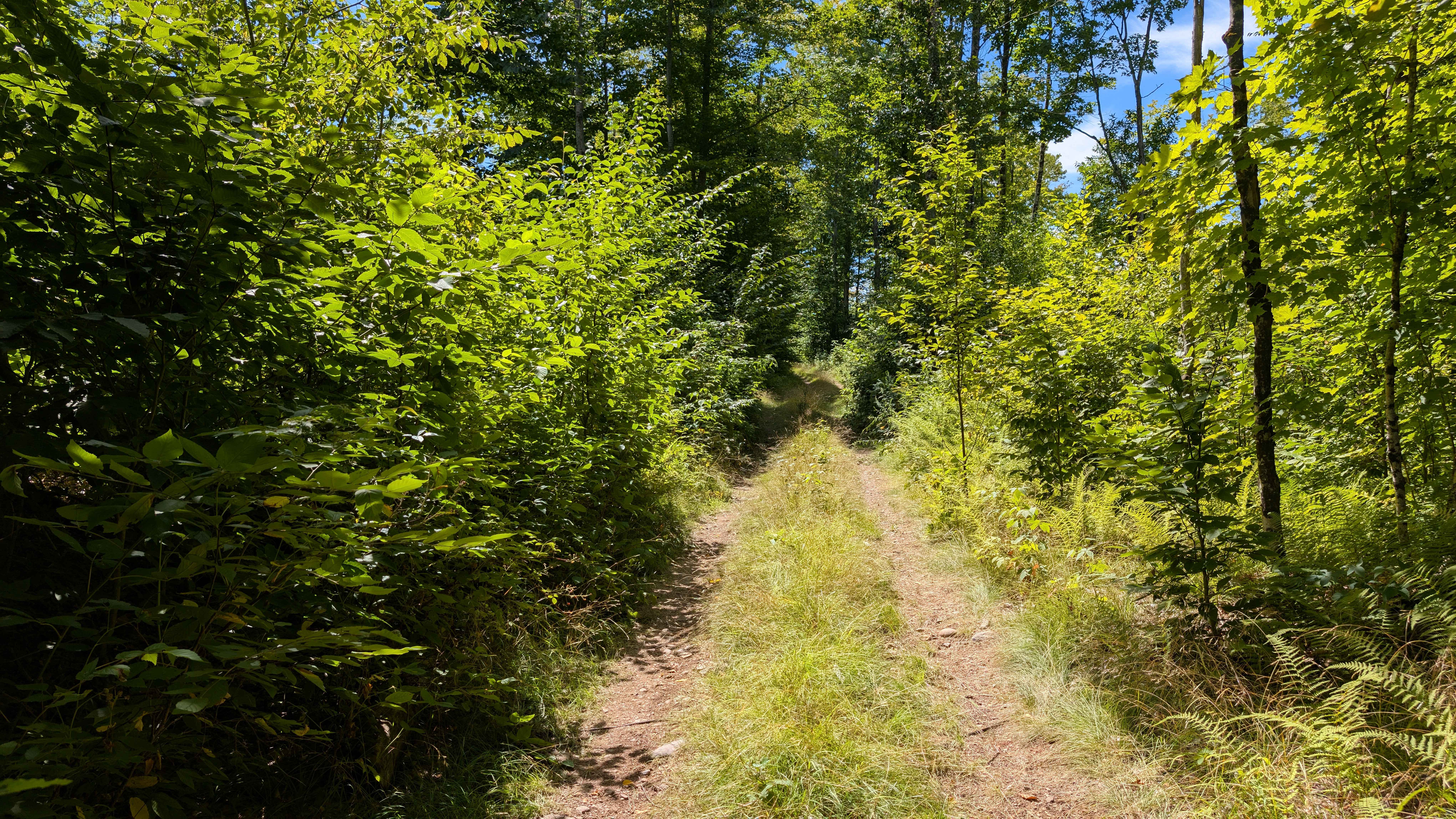Grass River Trail Alternate