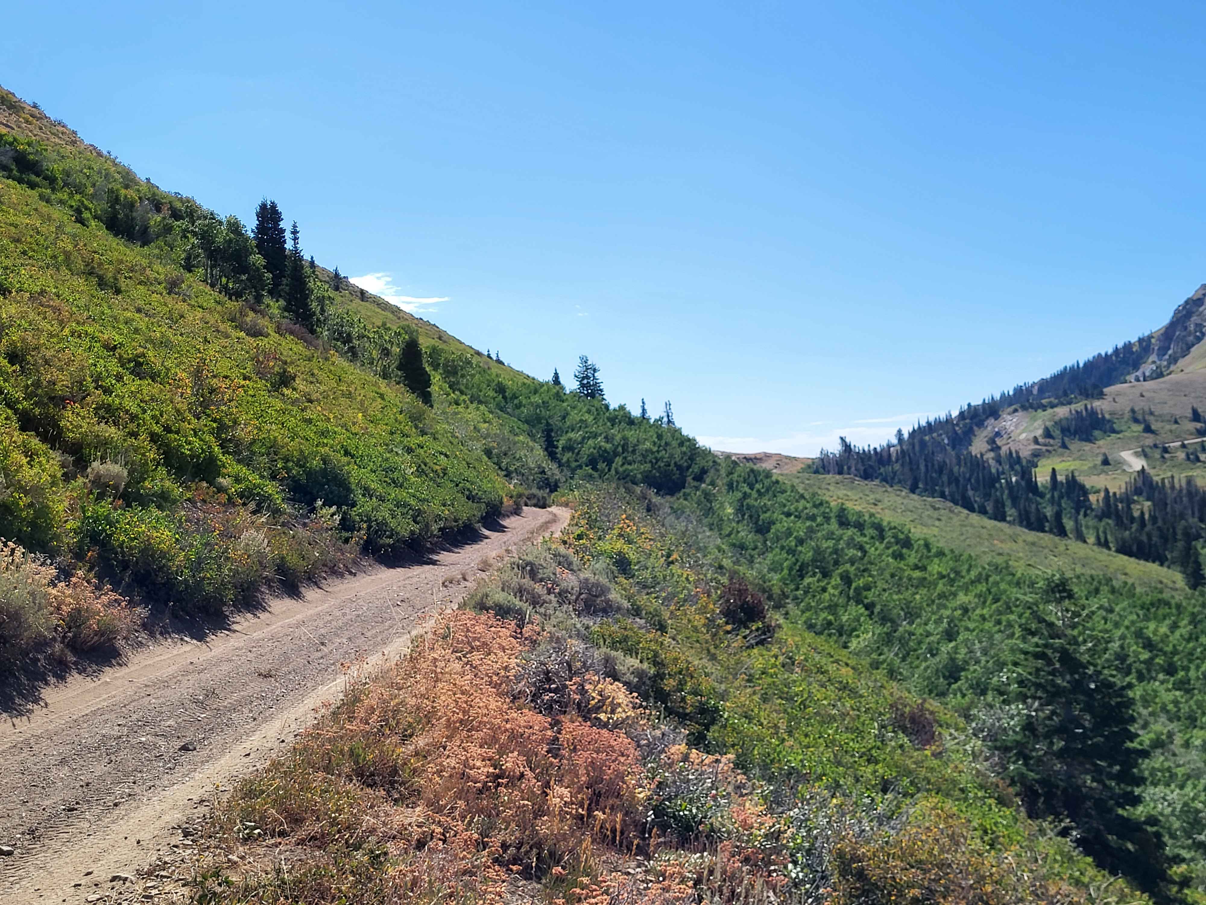 Steed Canyon Overlook
