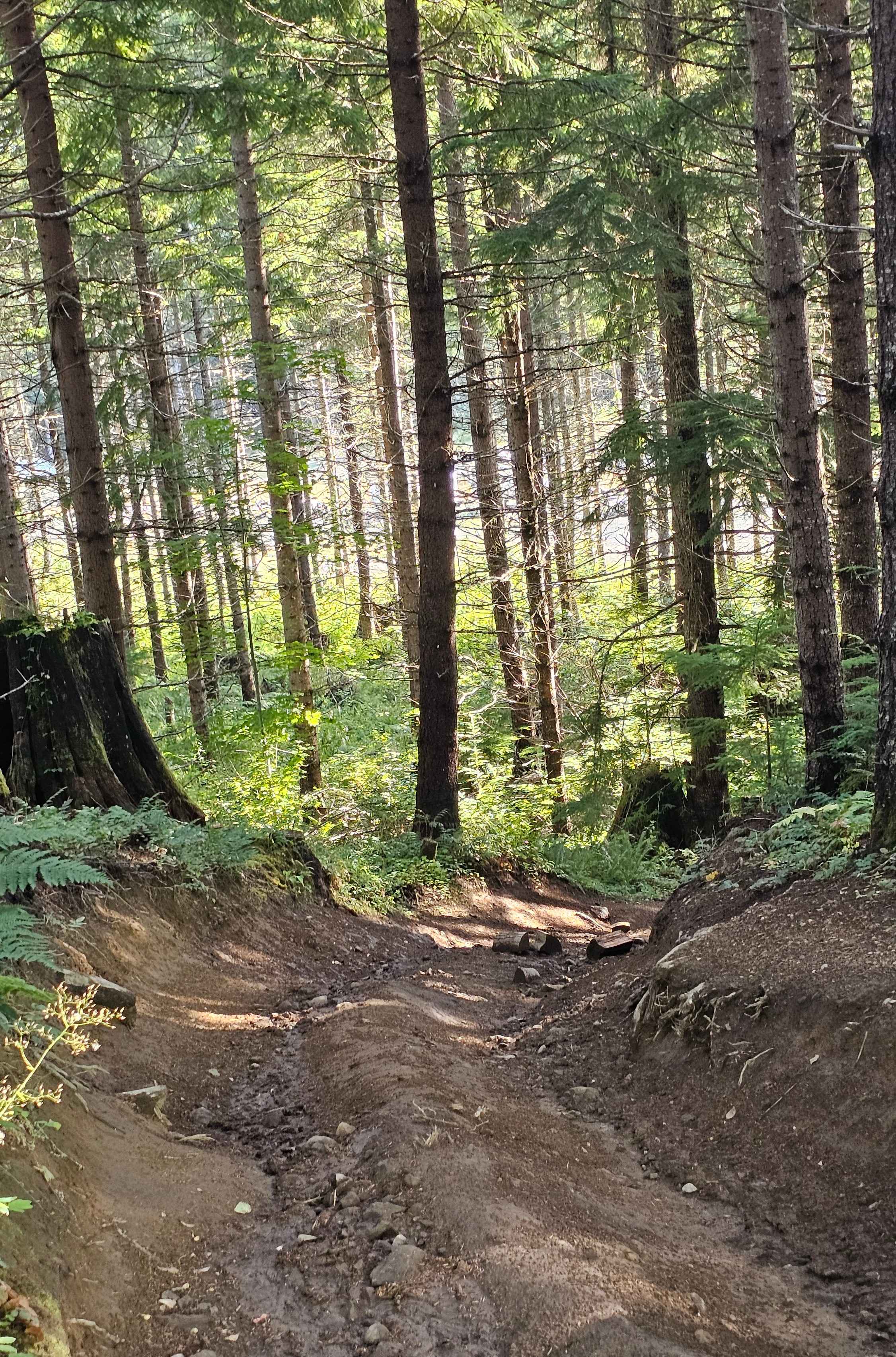 Inner Alder loop