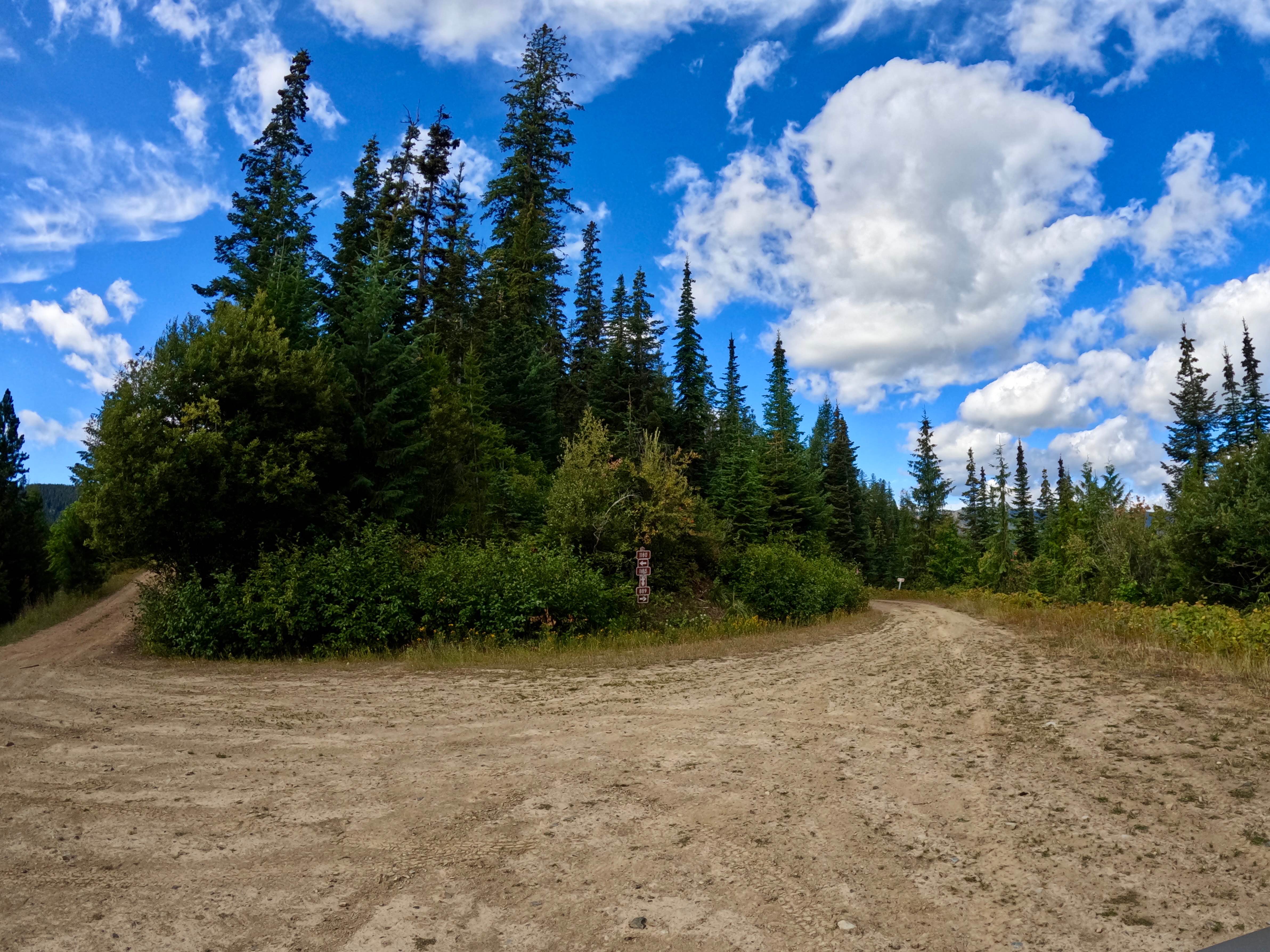 Newman Ridge Road (1185) - Canyon Creek Road (3816)