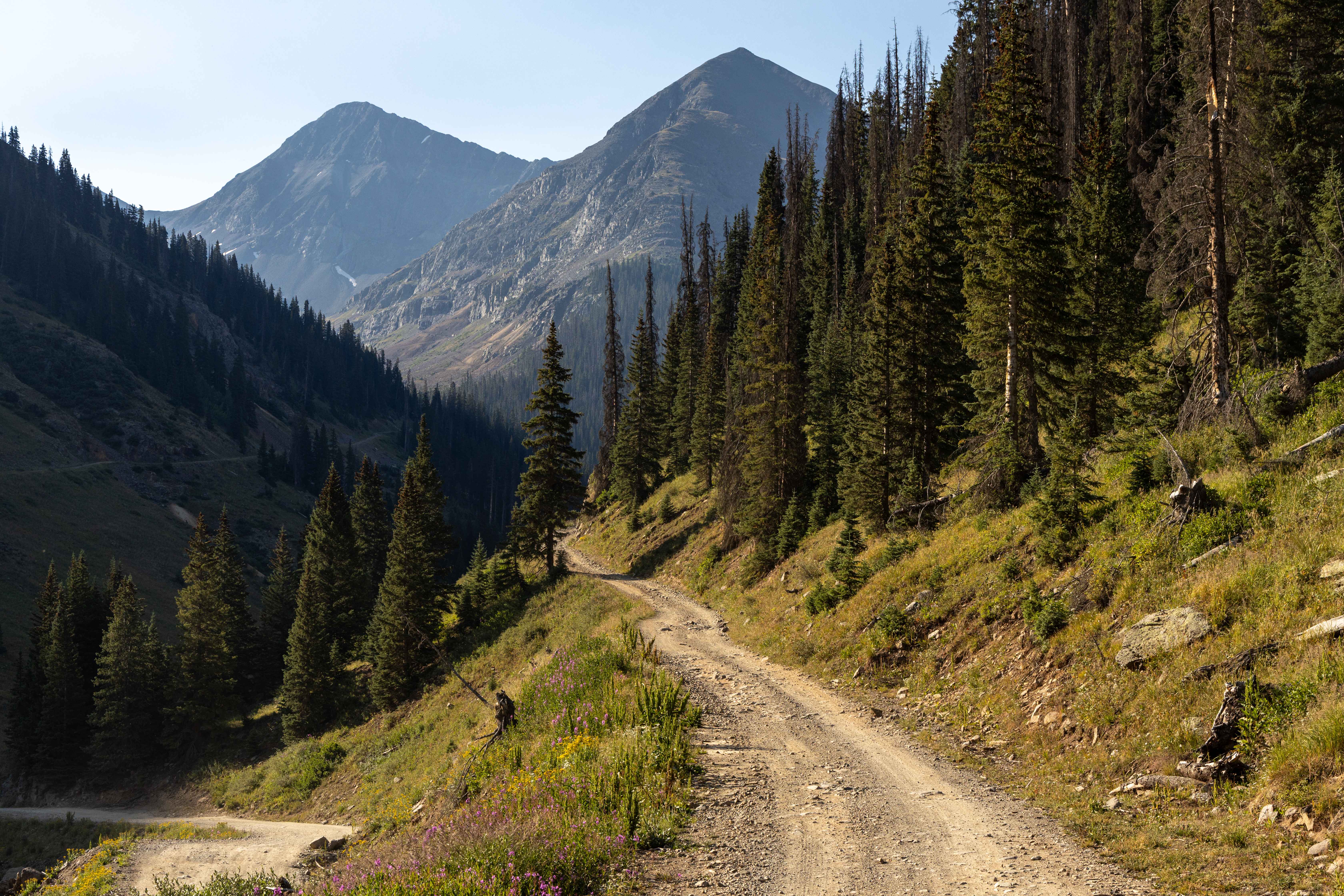 Placer and Picayne Gulch