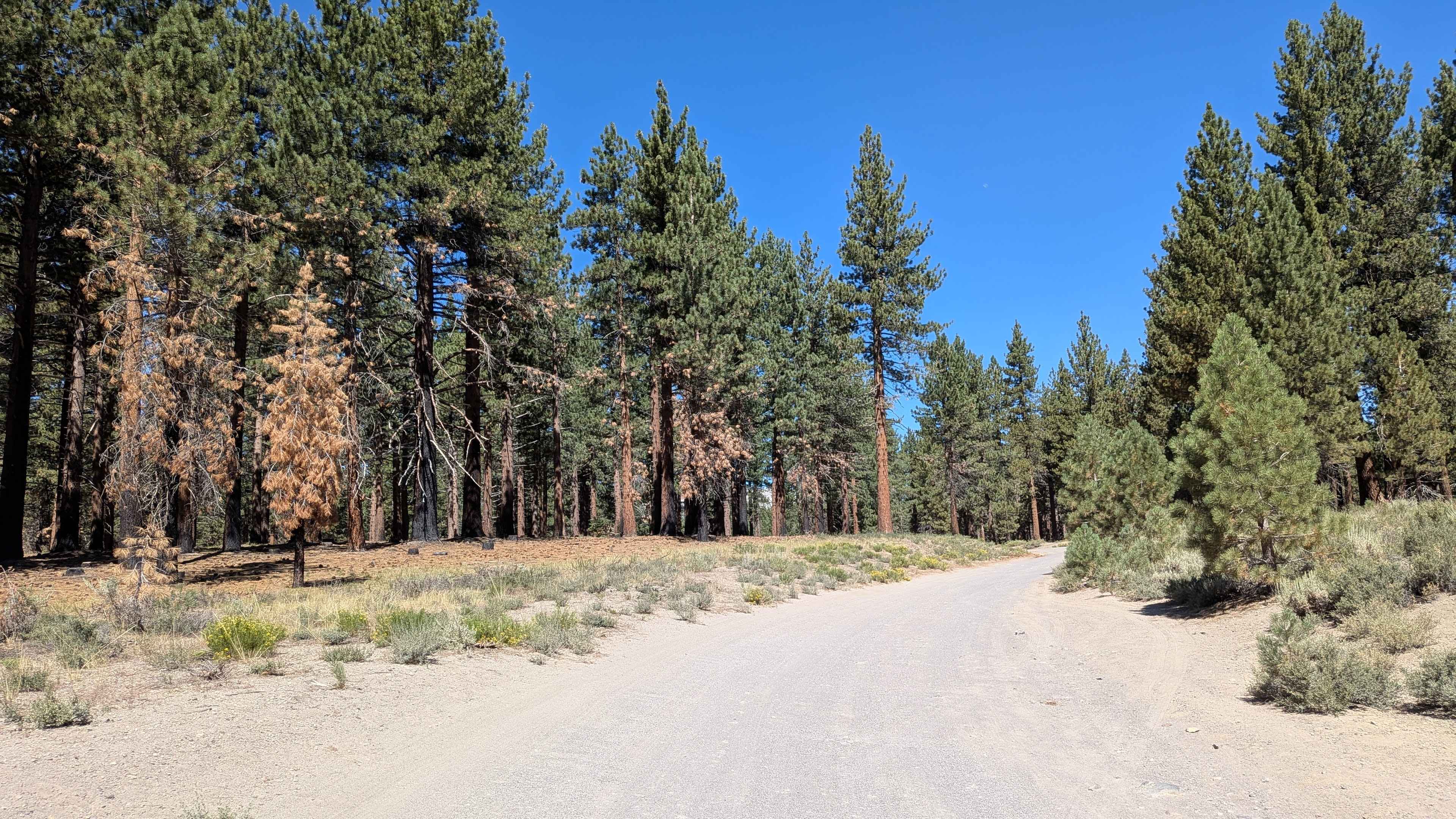 Forest Service Road 3S22