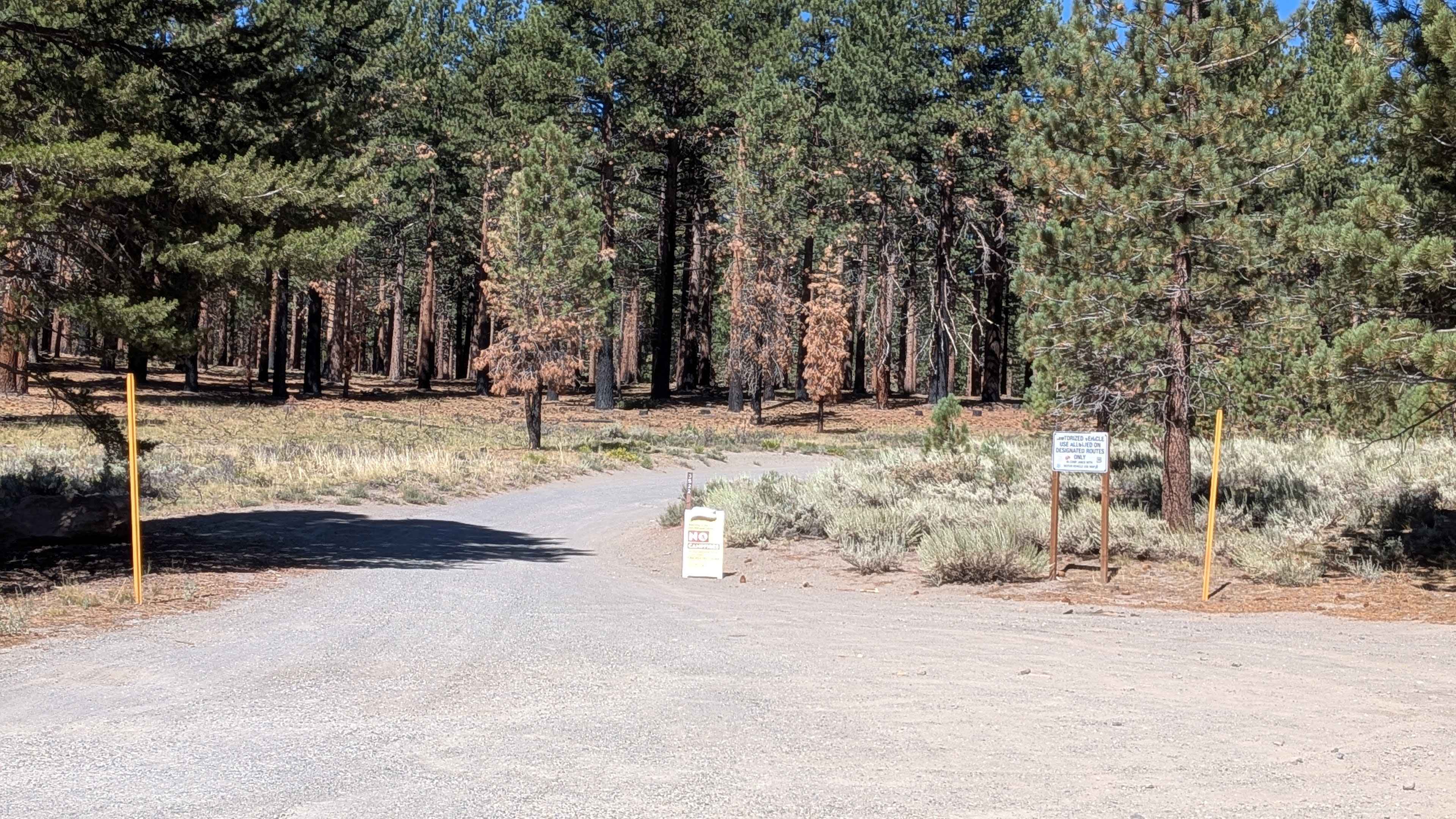 Forest Service Road 3S22